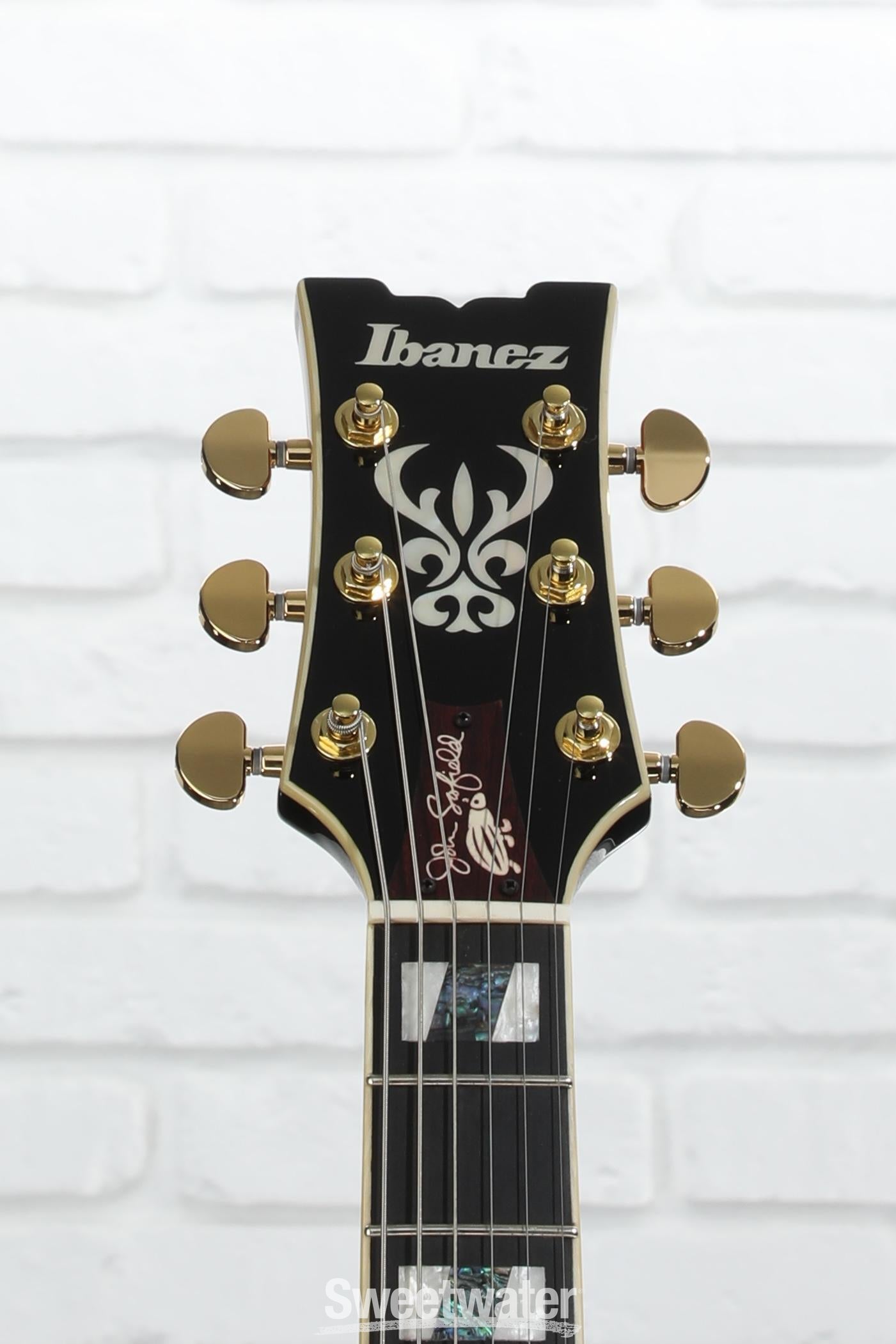Amazon.com: Ibanez JSM10 John Scofield Signature - Vintage