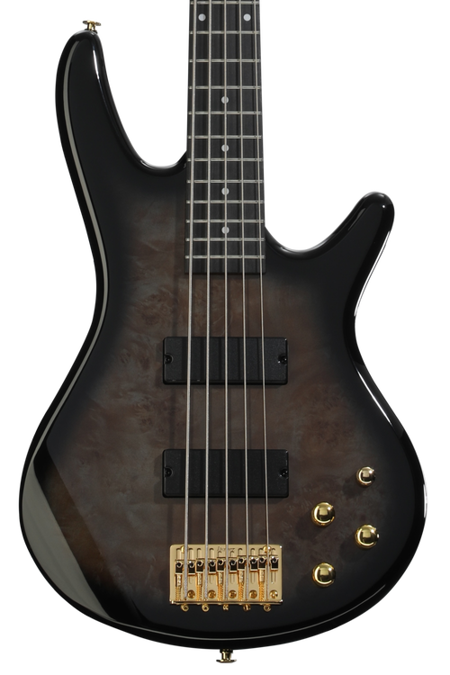 Amazon.com: Ibanez GSR205PC GIO 5-String Bass Guitar