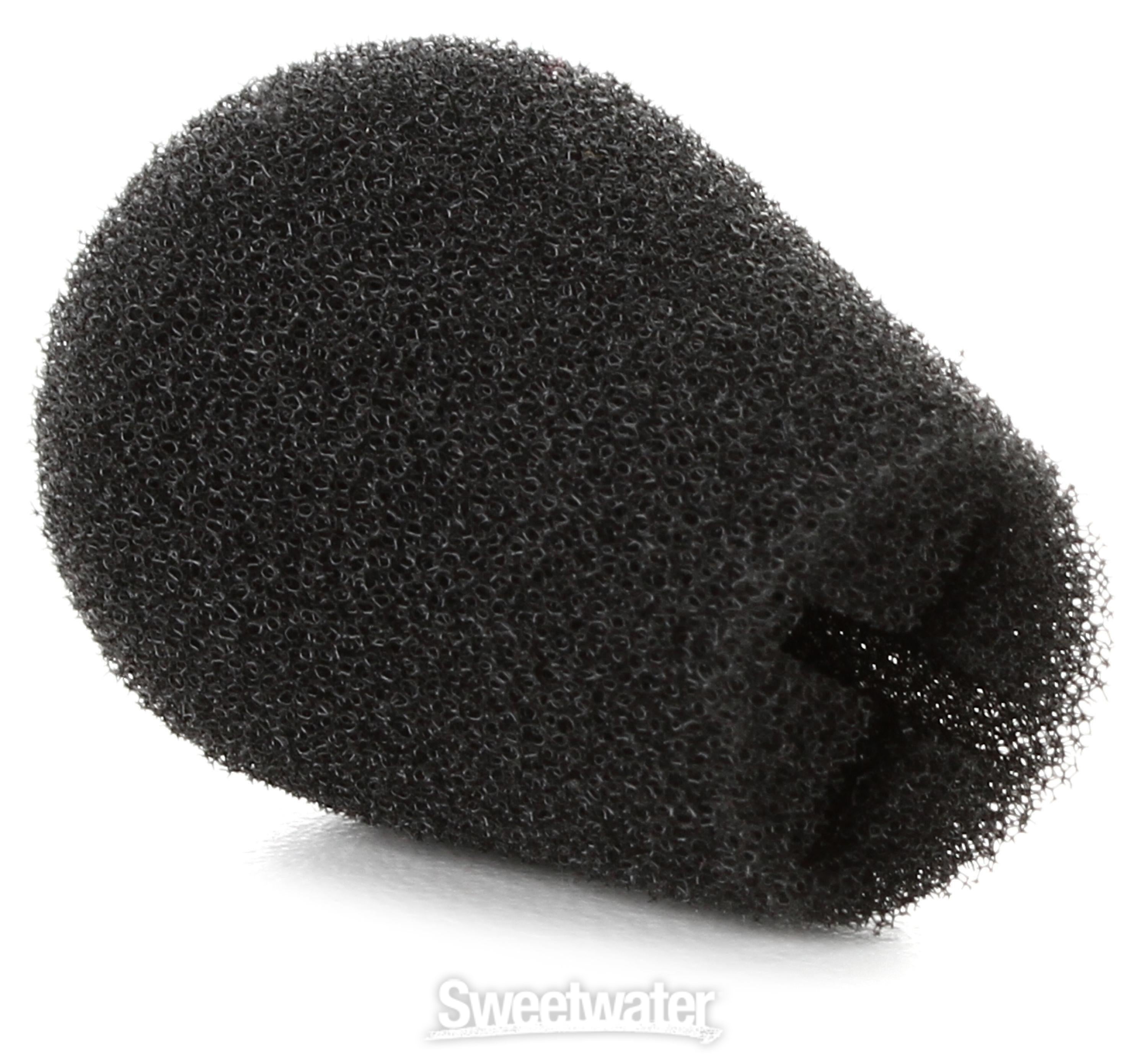 Sennheiser MZW 4-ew Foam Windscreen for ME4 | Sweetwater