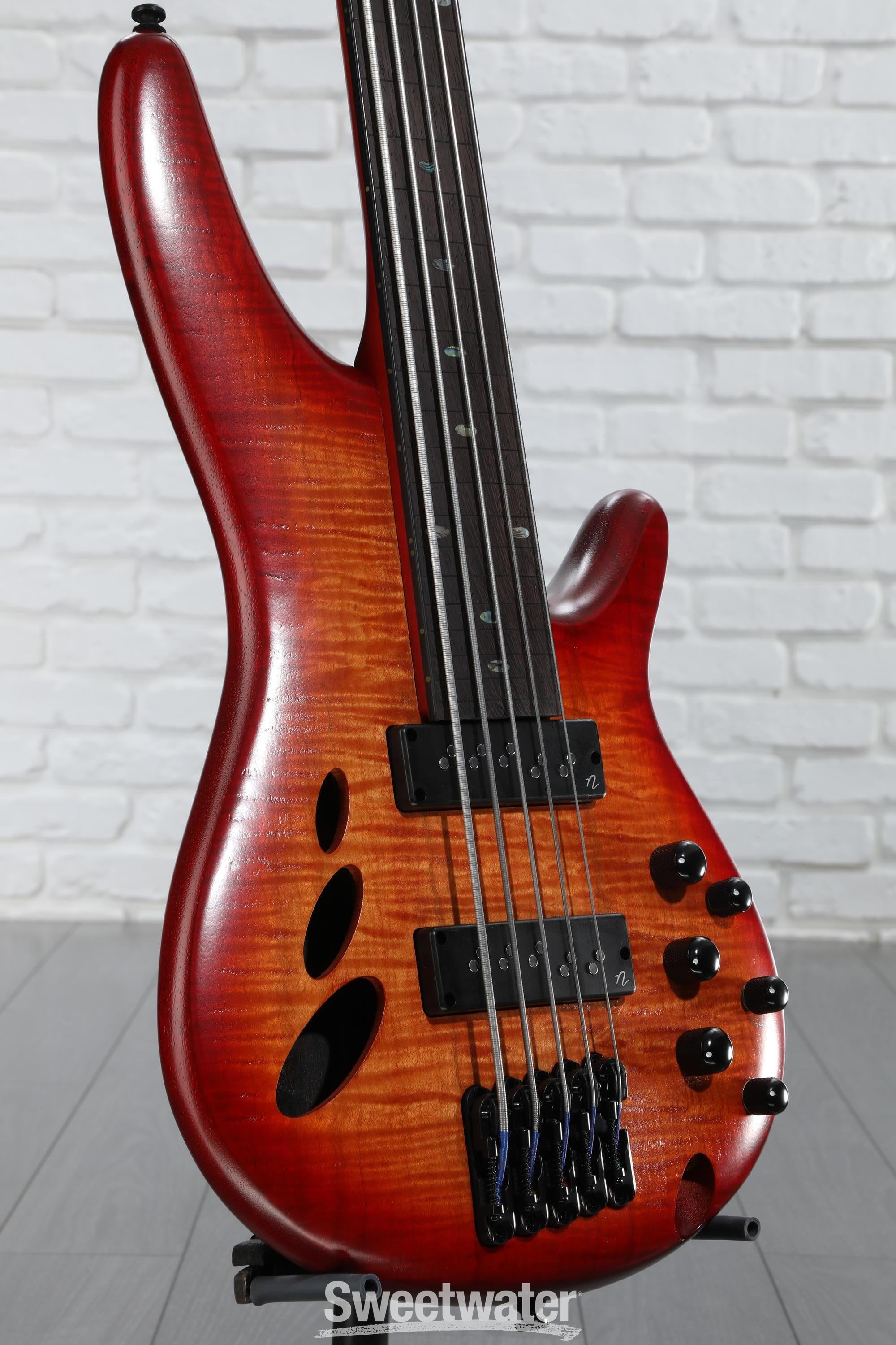 Ibanez SDGR 5弦ベース Ibanez/アイバニーズ 5弦 エレキベース SDGR SRMS805 - 楽器の