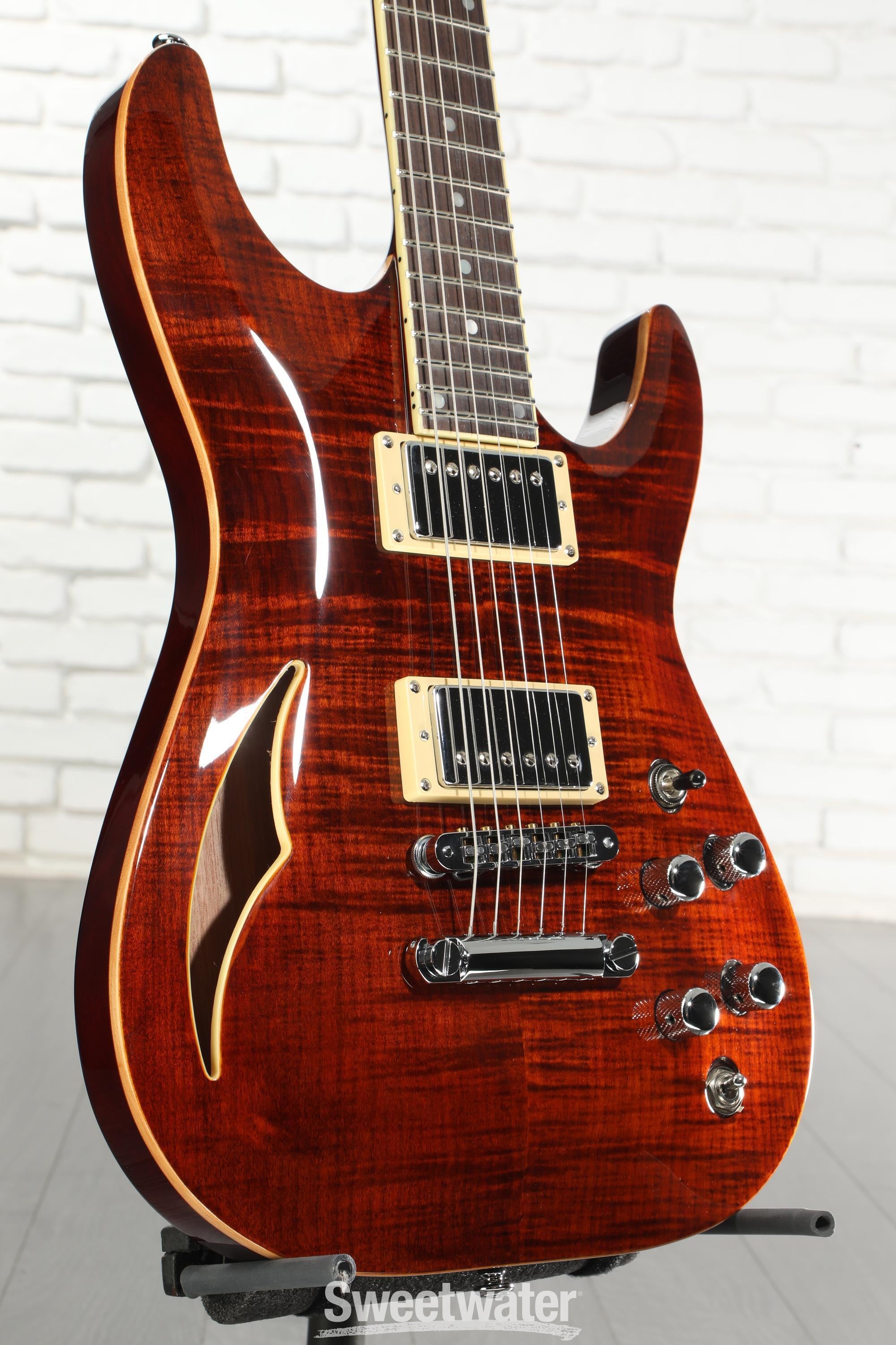 Schecter C-1 E/A Classic Semi-hollowbody Electric Guitar - Cats