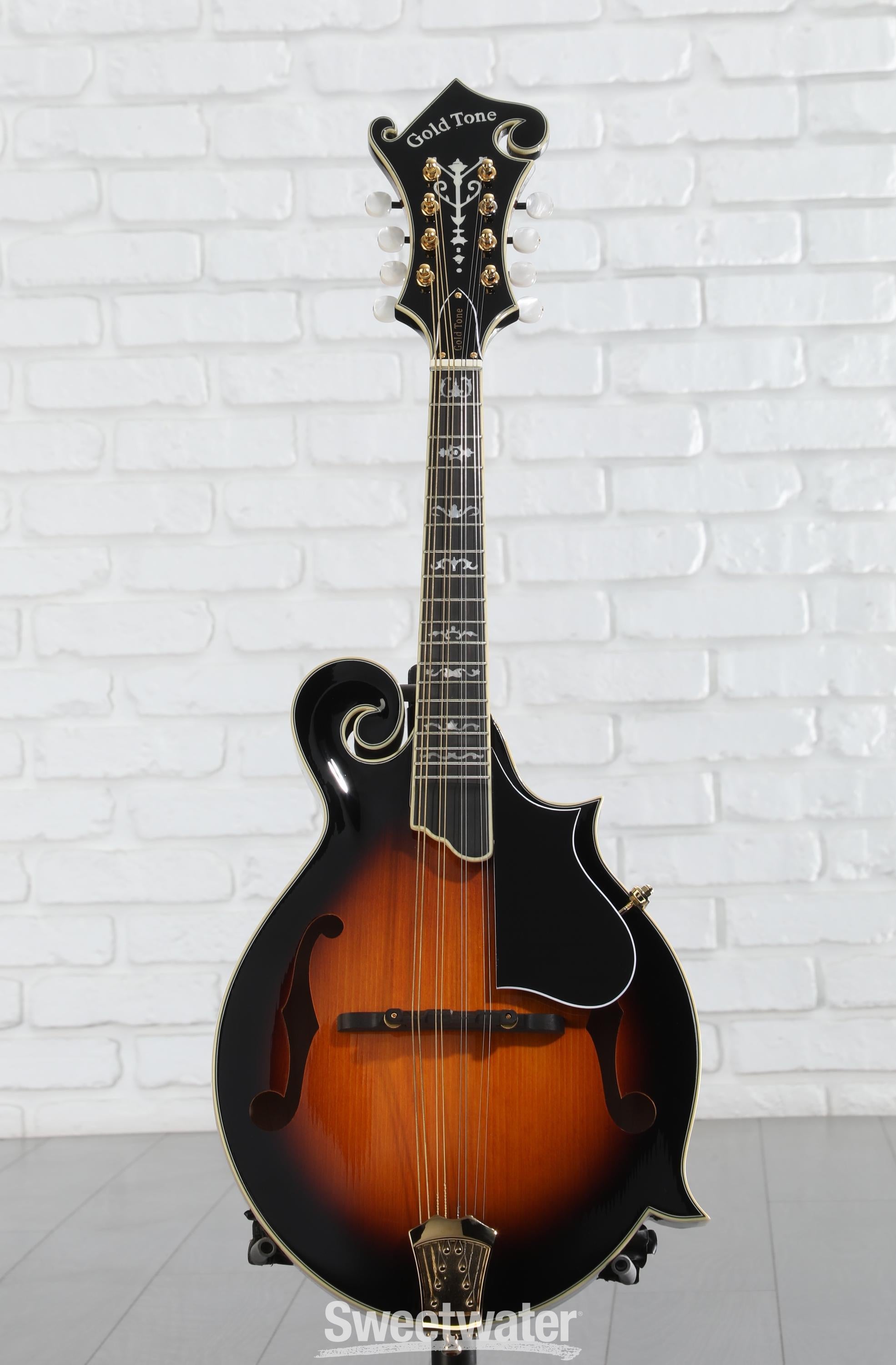 フラットマンドリン Gold Tone GM-70+ Amazon.com: Gold Tone GM-70 F-Style Mandolin (Two Tone