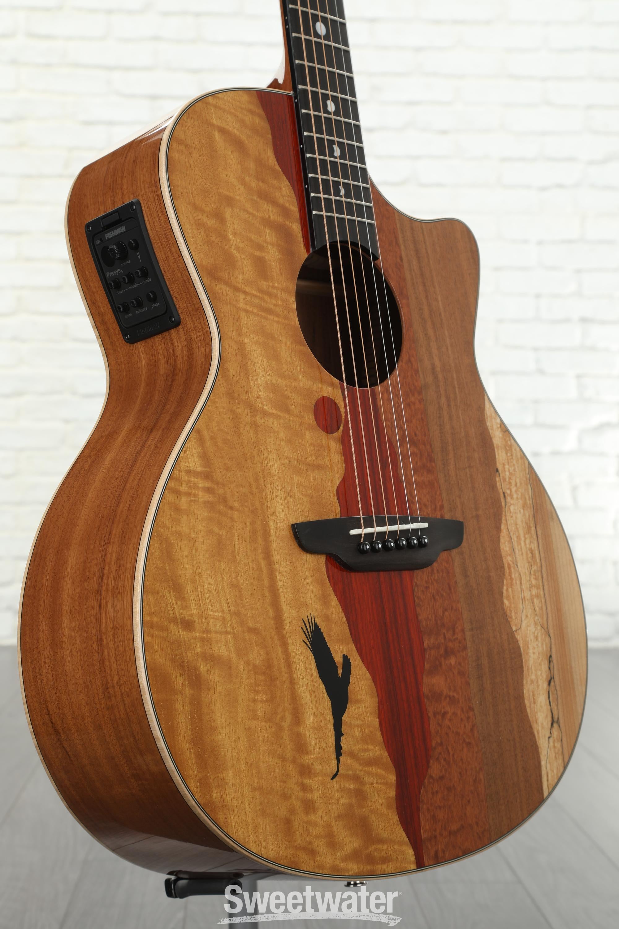 ギター LUNA GUITARS VISTA EAGLE VISTA EAGLE A/E WITH HARDSHELL CASE