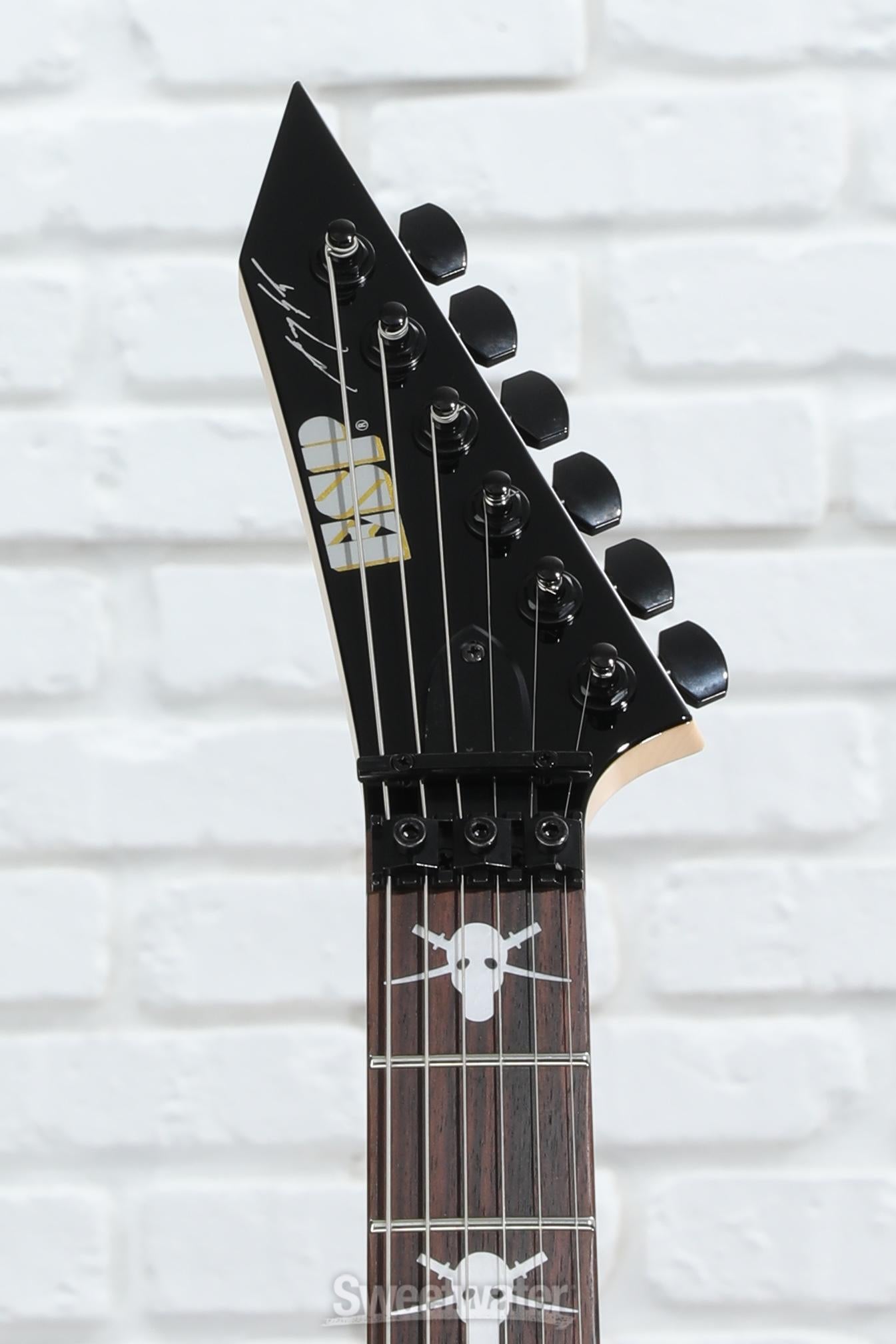 ESP George Lynch Signature Skulls & Snakes Electric Guitar w