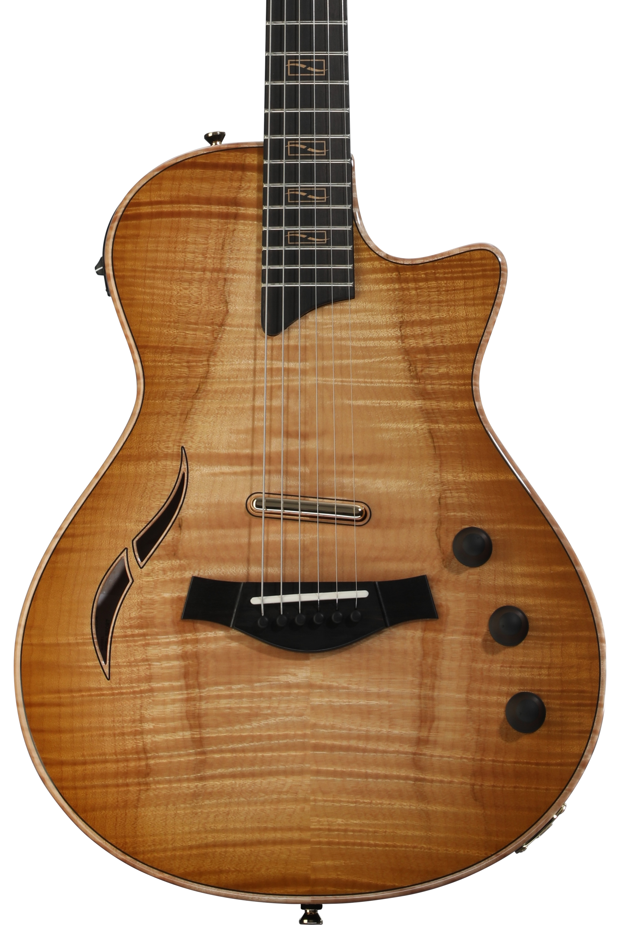 Taylor ギター Taylor 456ce-R Grand Symphony 12-String Acoustic-Electric