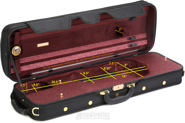 Eastman violin outlet case