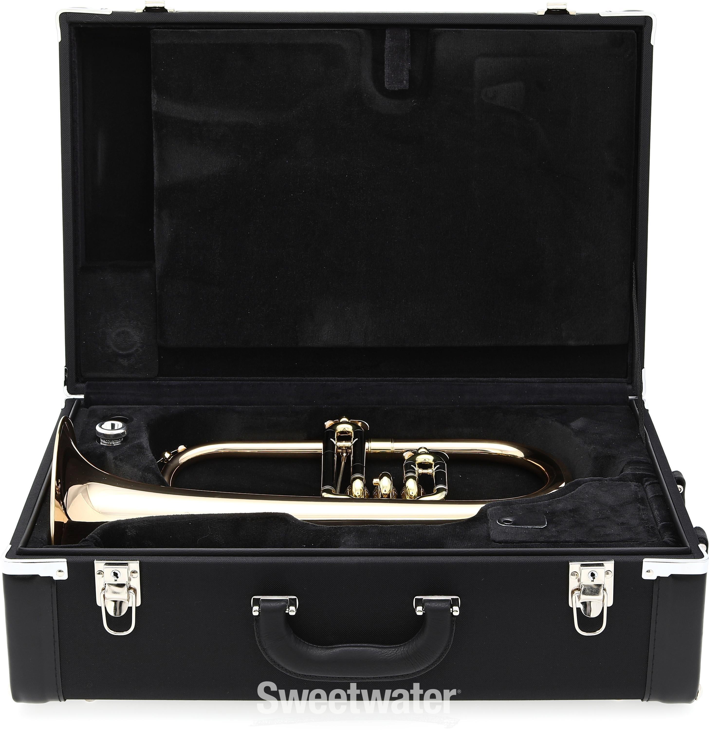 Antoine Courtois Professional 154 Flugelhorn - Gold Brass Bell, Clear  Lacquer | Sweetwater