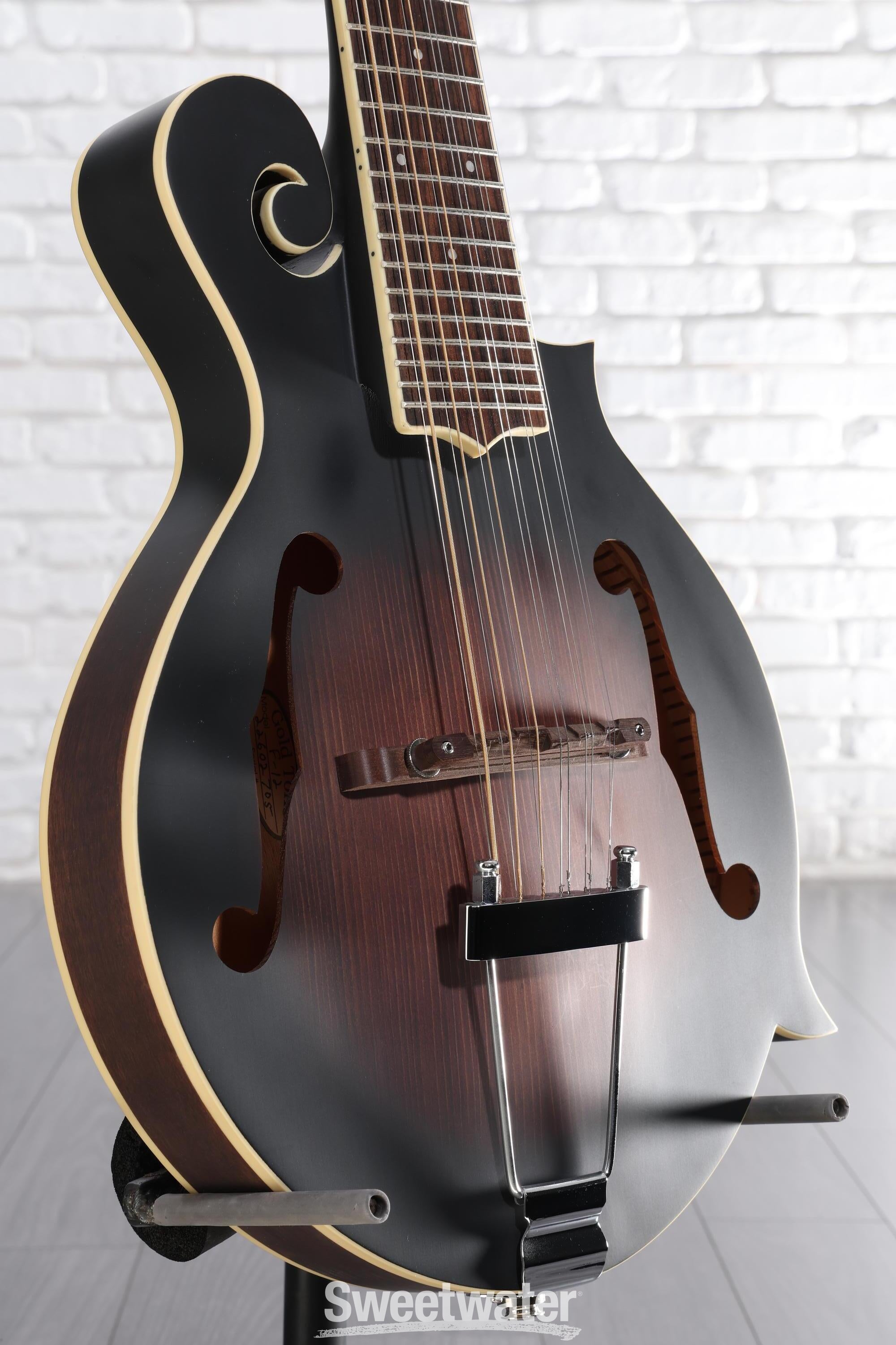 Photo of Gold Tone F-12 12-string Acoustic-electric Mando-Guitar - Tobacco Sunburst