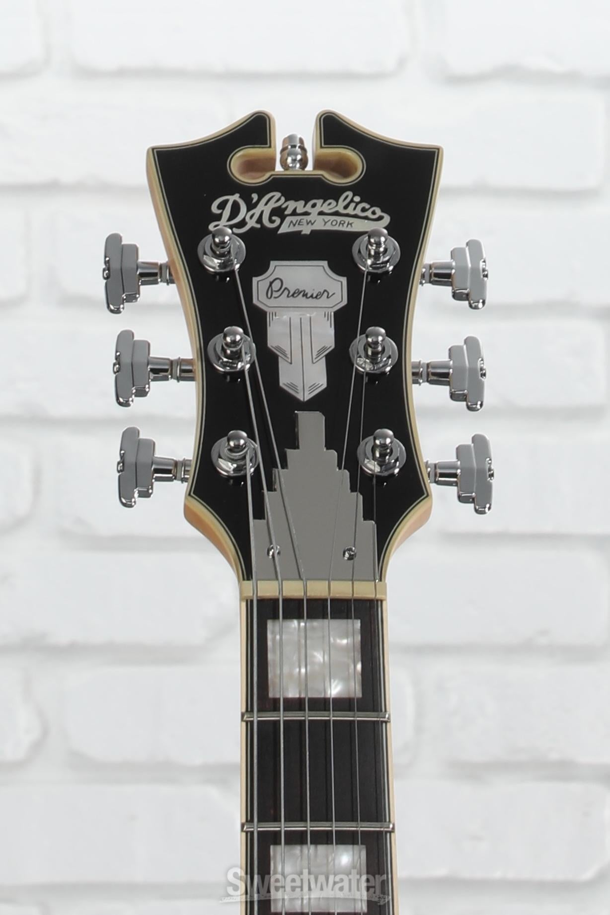 D'Angelico Premier Brighton Electric Guitar - Black Flake