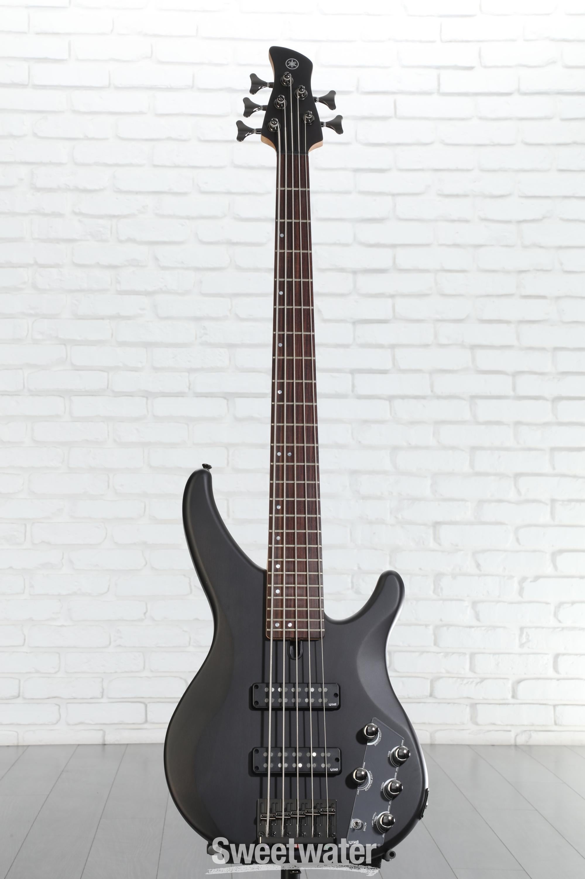 Yamaha TRBX505 5-string Bass Guitar - Translucent Black | Sweetwater
