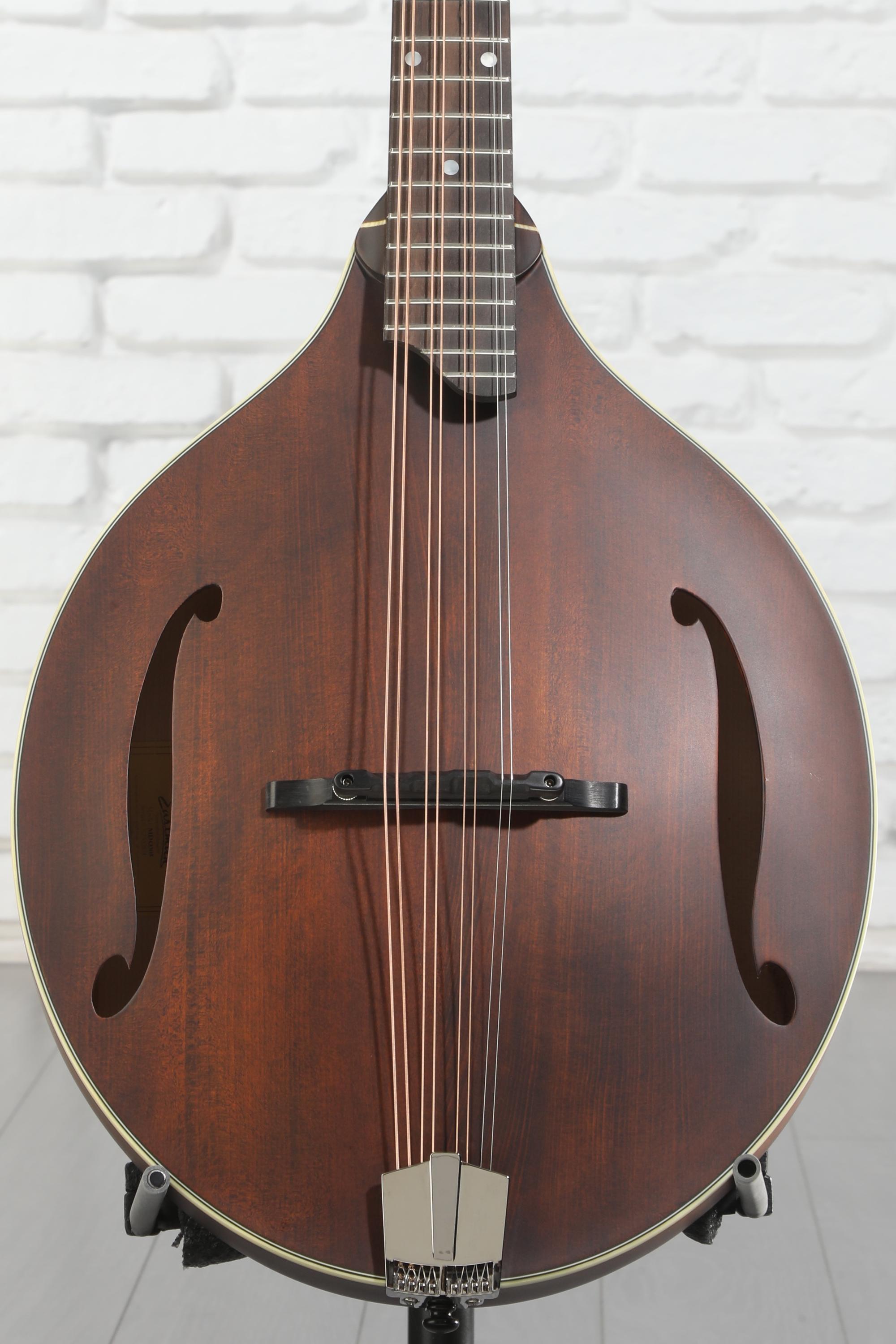 【最終価格】Eastman MDO-305 オクターブマンドリン Eastman MDO305 Classic Octave Mandolin & Gigbag – Elderly Instruments