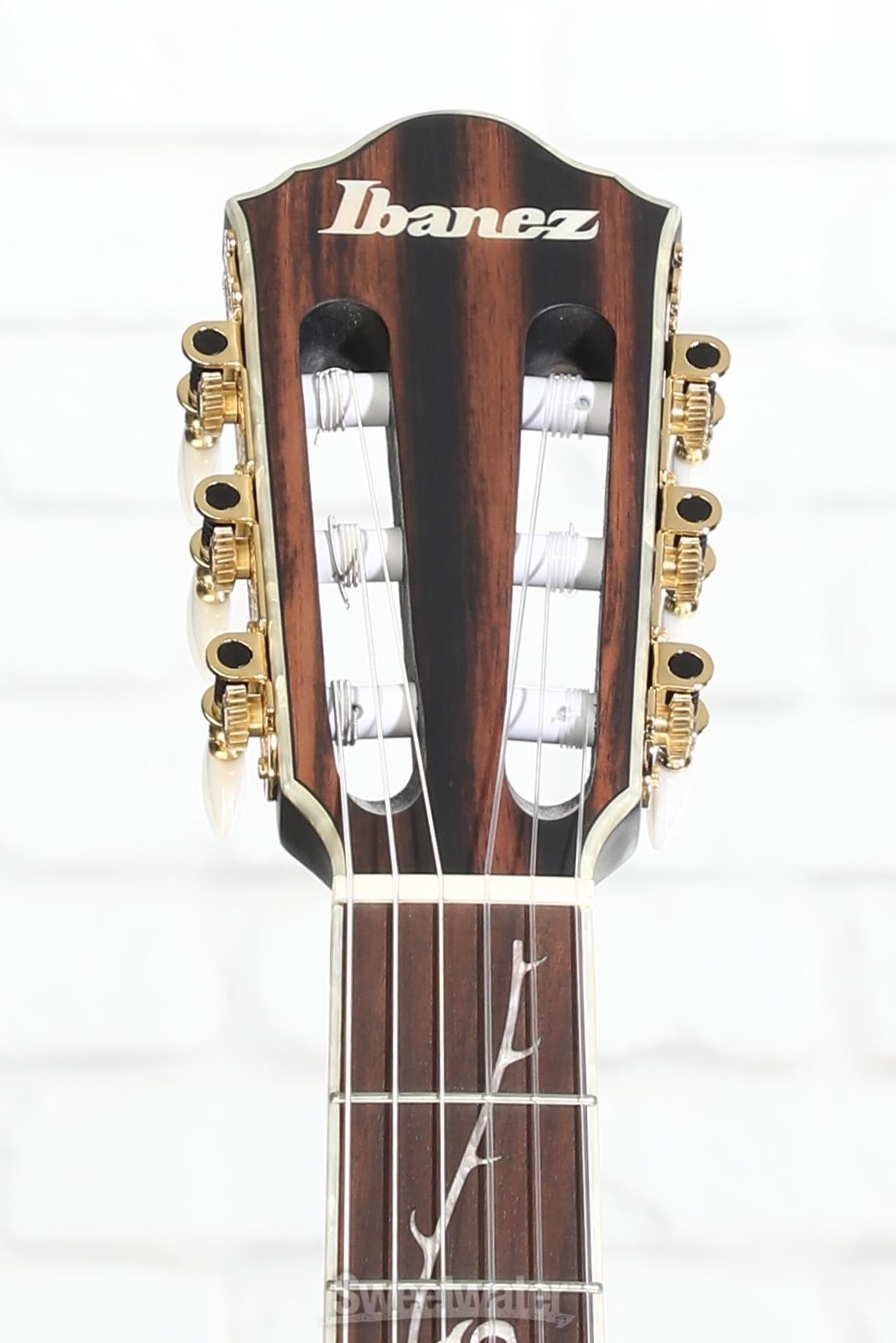 Ibanez TOD10N Tim Henson Signature Nylon-string Acoustic-electric