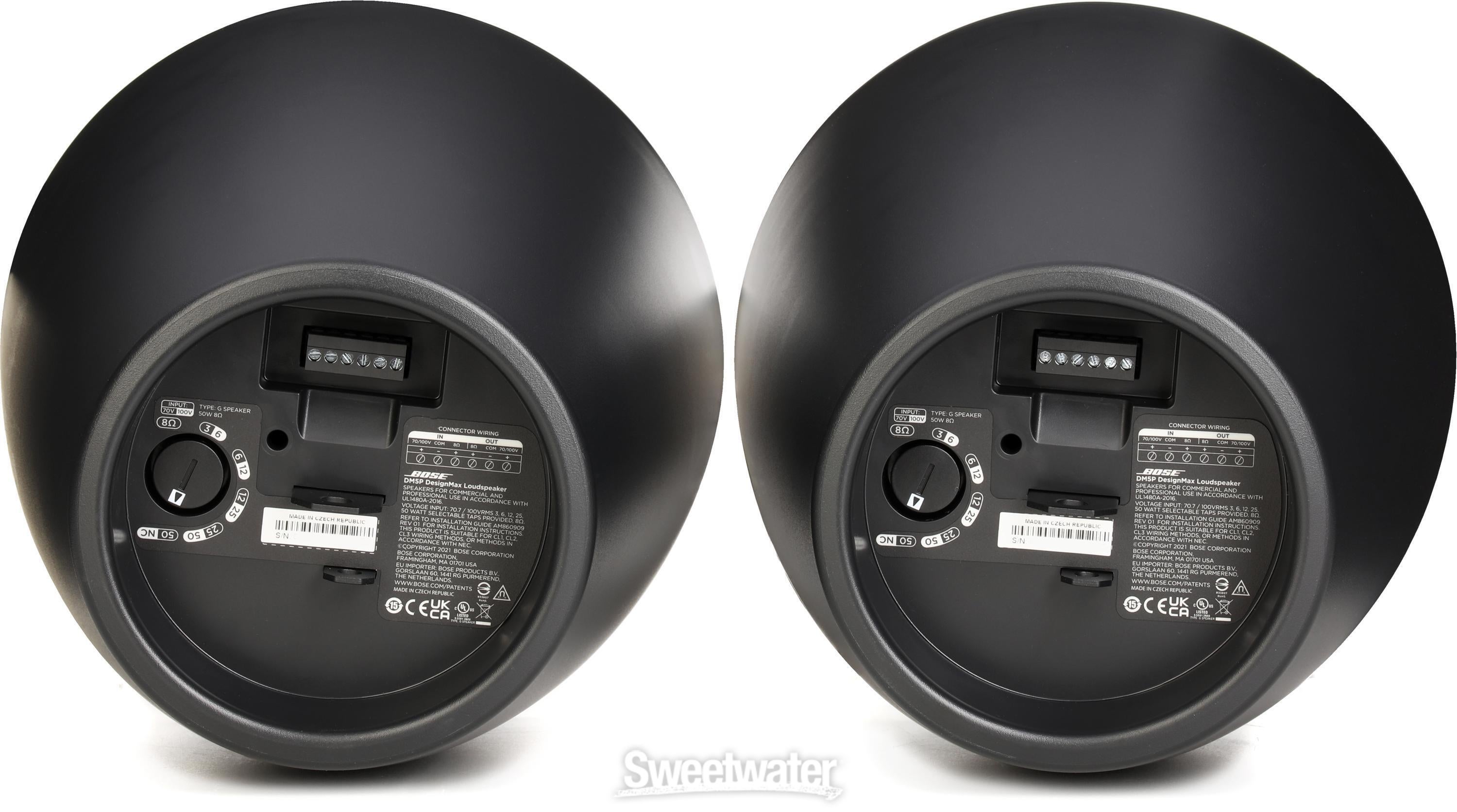 Bose Professional DesignMax DM5P Pendant Speaker - Black (1