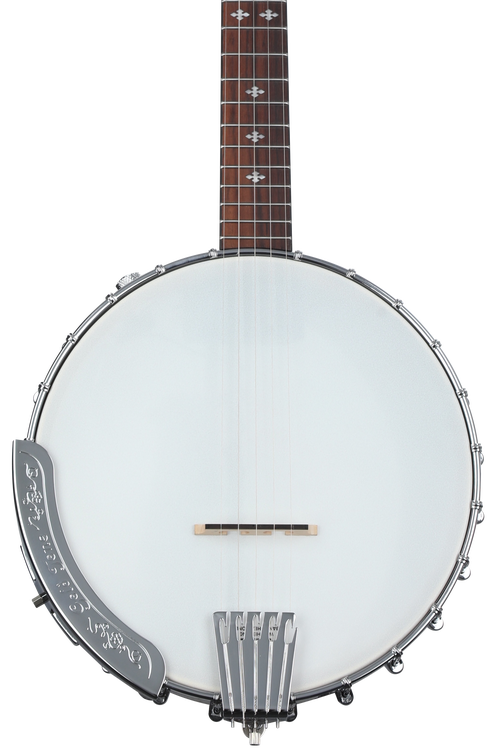 Gold tone cc 100 banjo deals