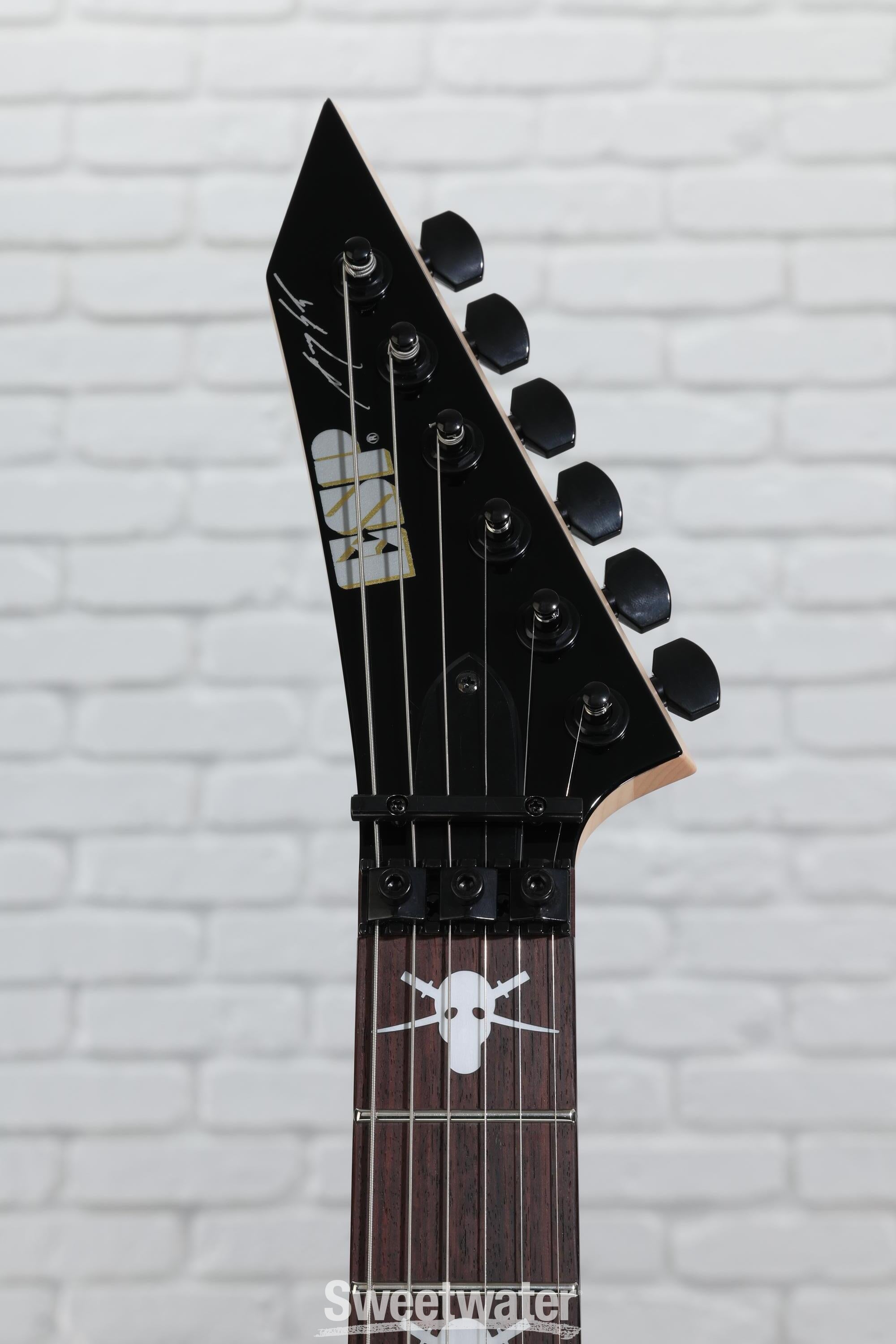 SKULLS & SNAKES - The ESP Guitar Company