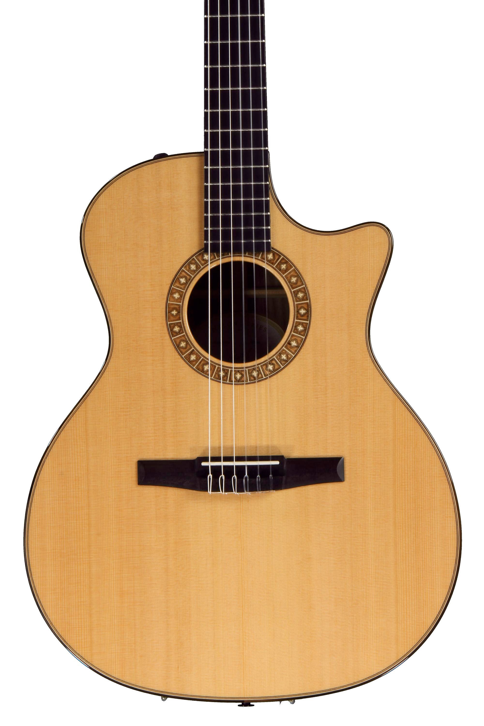 Taylor NS74ce