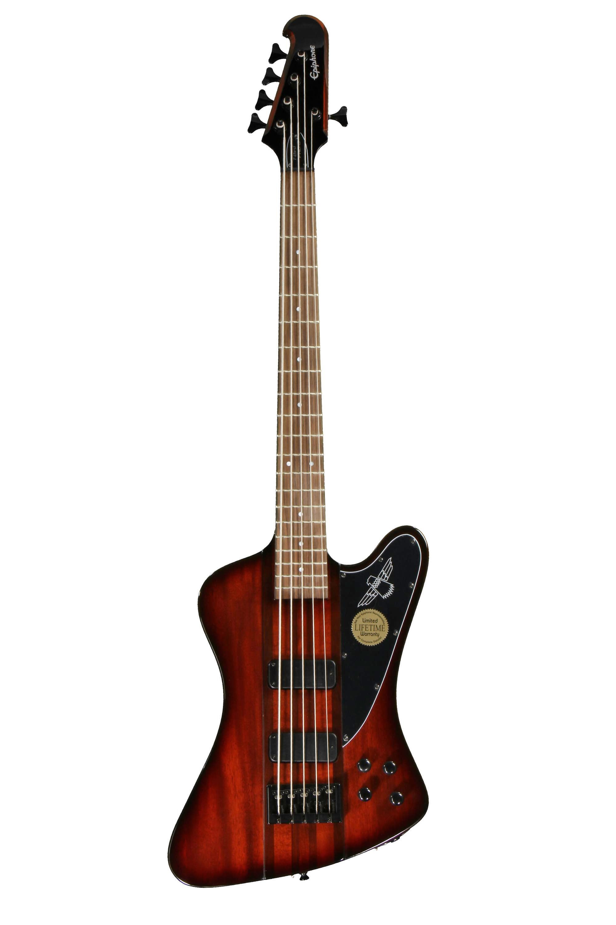 Epiphone thunderbird Ⅴ サンダーバード 5弦ベース エピフォン - 楽器 