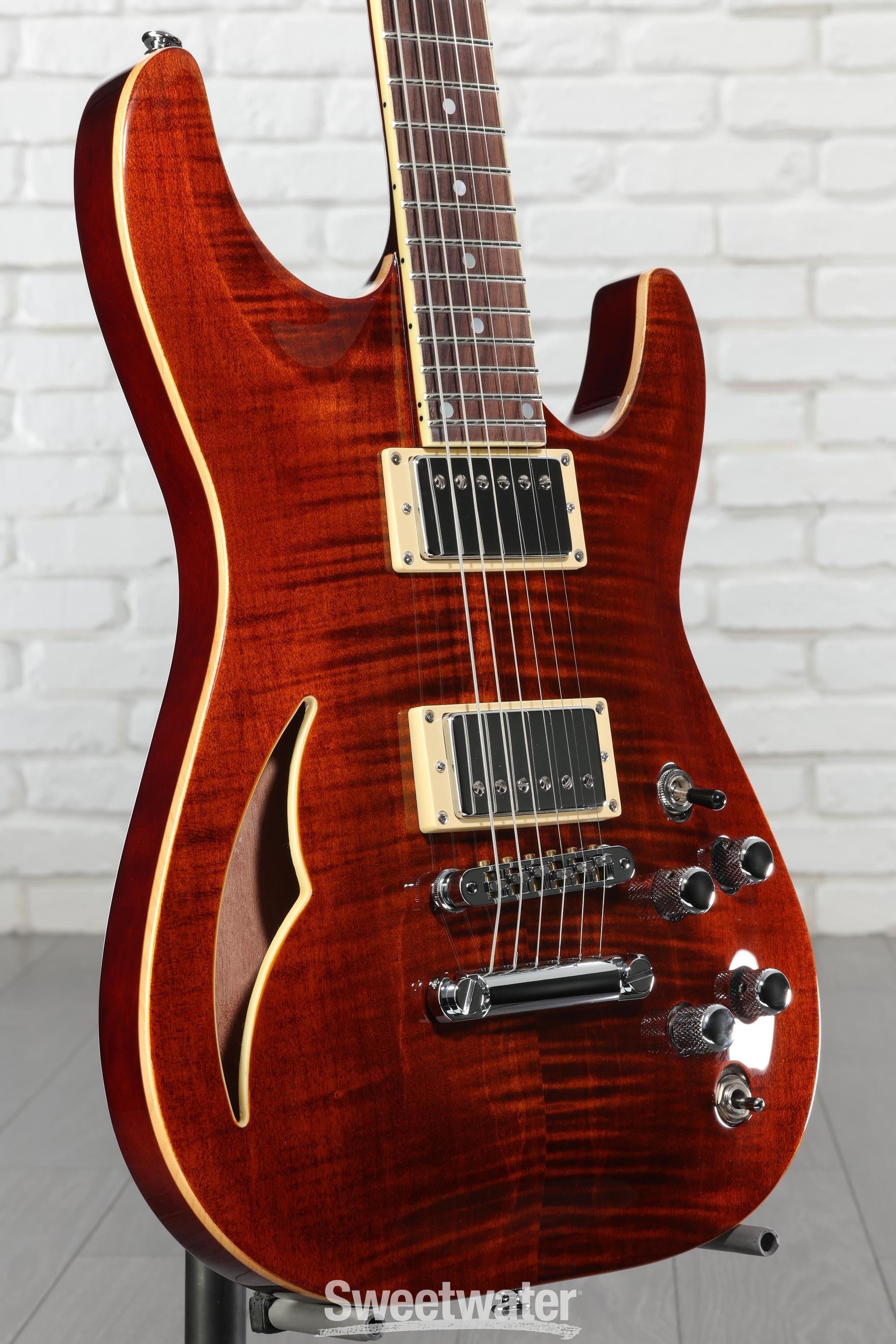 Schecter C-1 E/A Classic Semi-hollowbody Electric Guitar - Cats