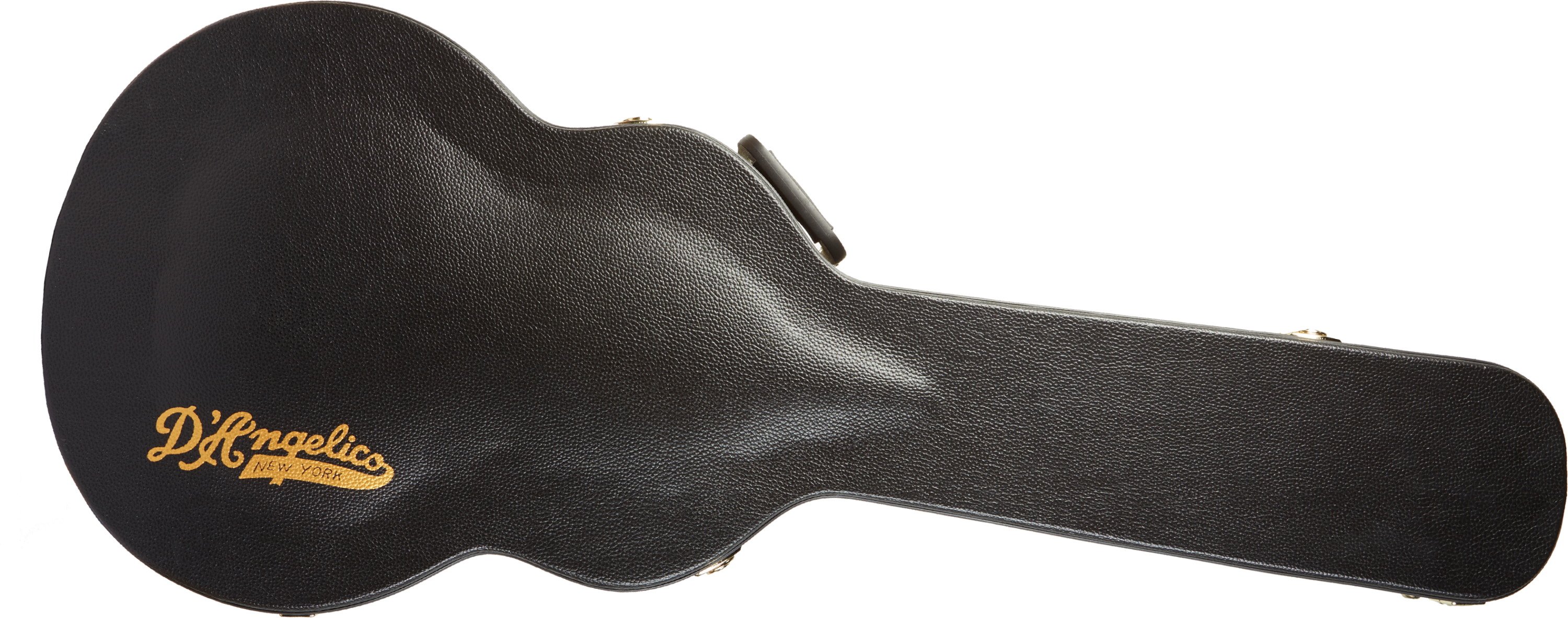 D'Angelico Excel Acoustic Grand Auditorium 12-String Hard Case