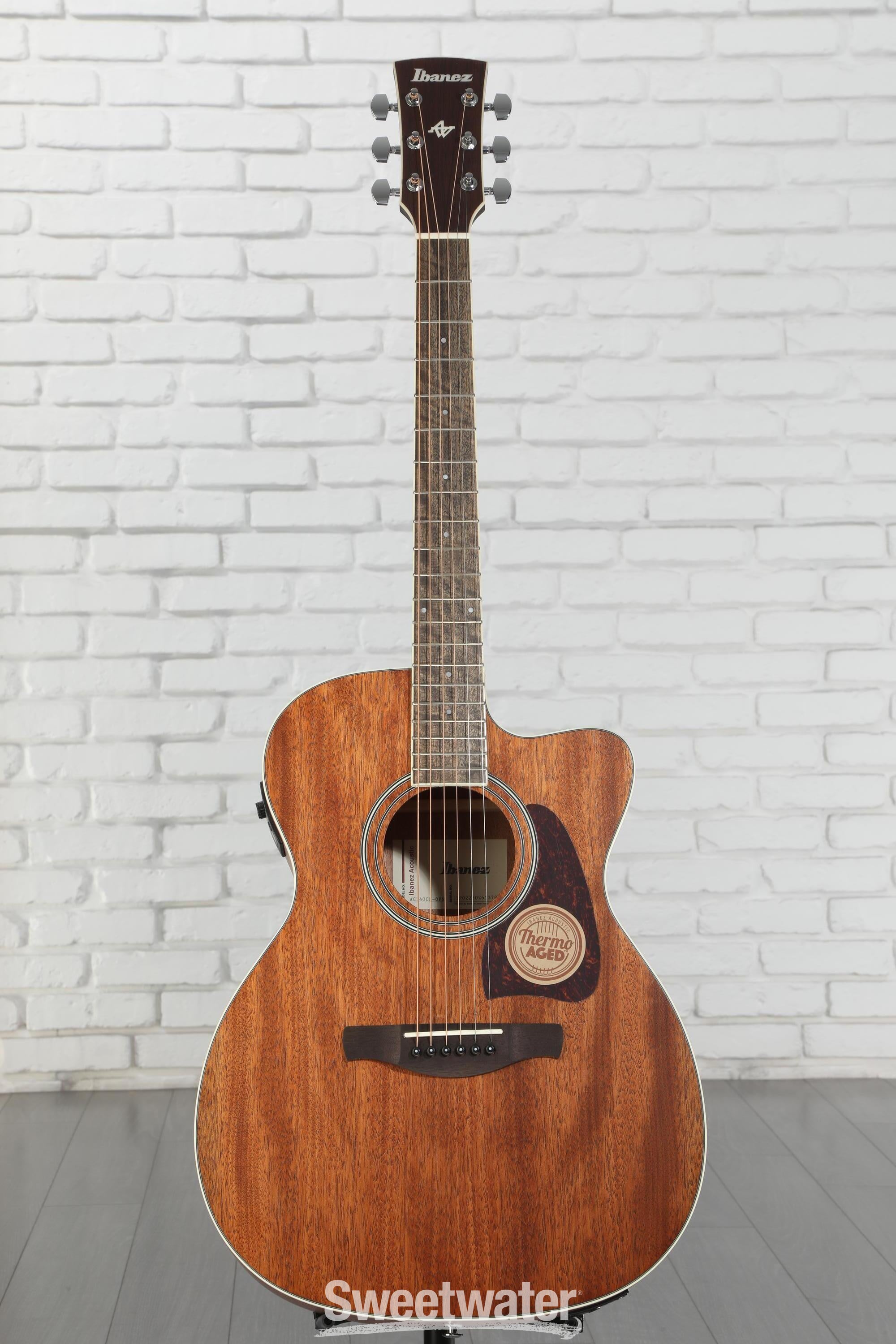 Ibanez Artwood AC340CE Acoustic-Electric Guitar - Open Pore