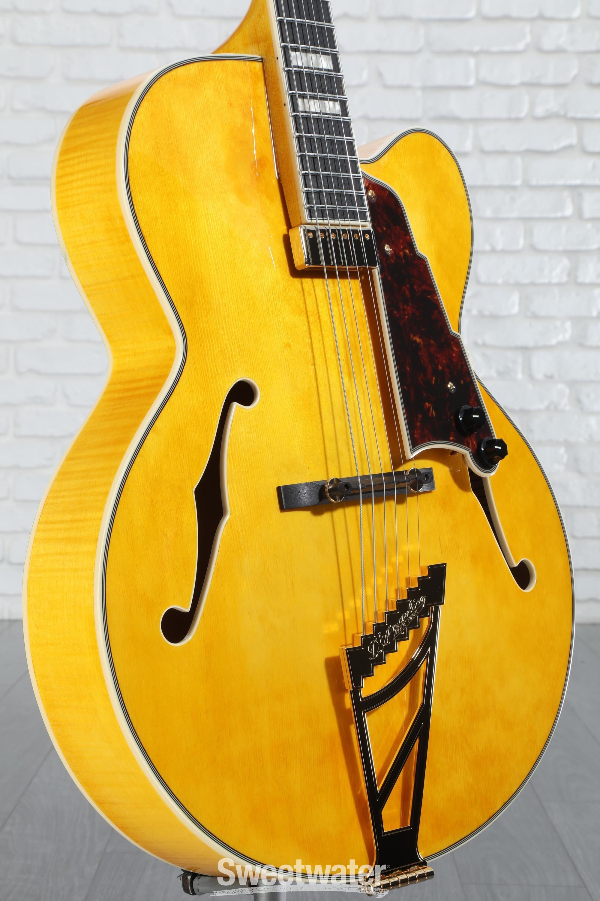 ギター ESP .1[dot one]exl. ESP .1[dot one]exl. FR 発売 | ESP GUITARS