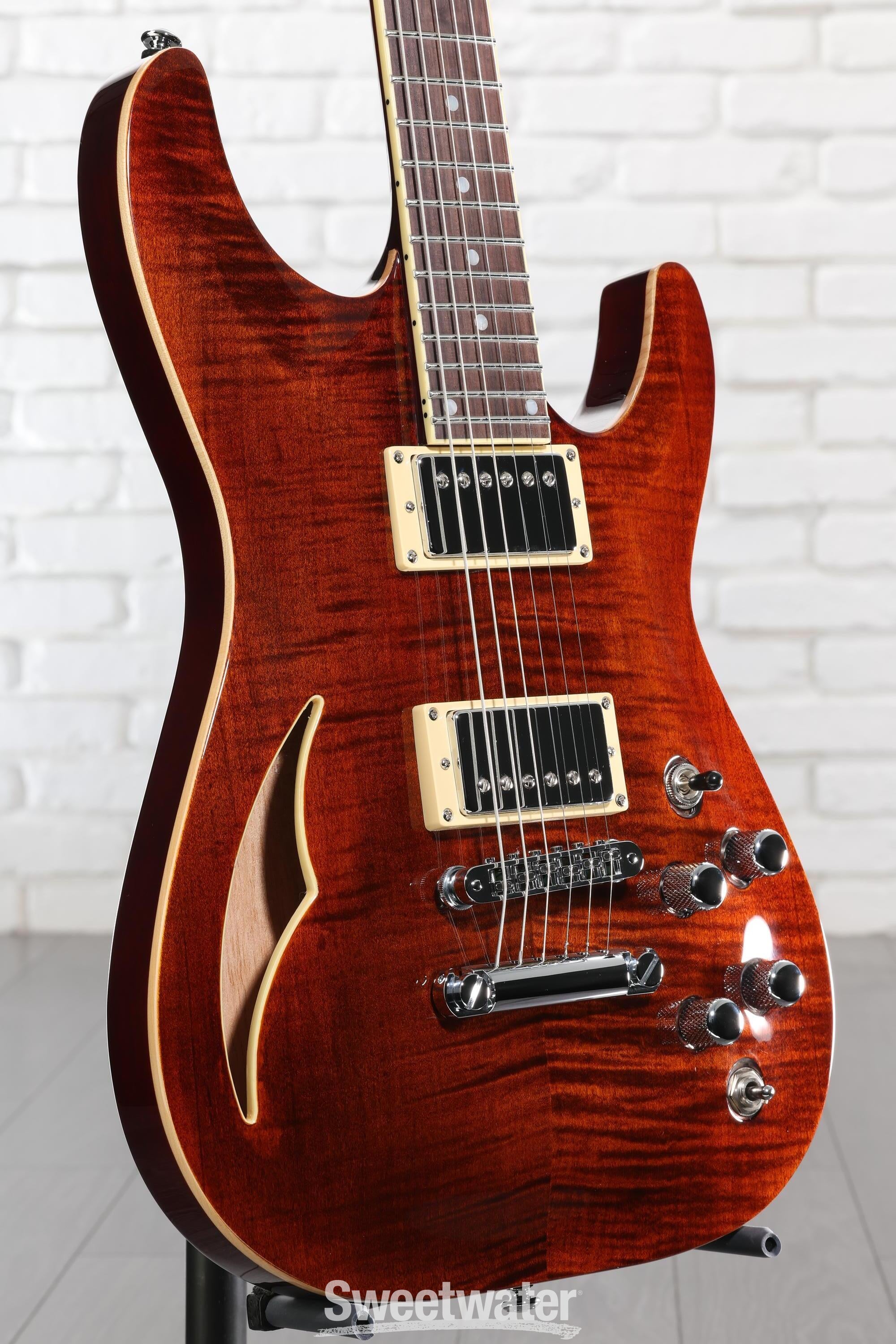 Schecter C-1 E/A Classic Semi-hollowbody Electric Guitar - Cats