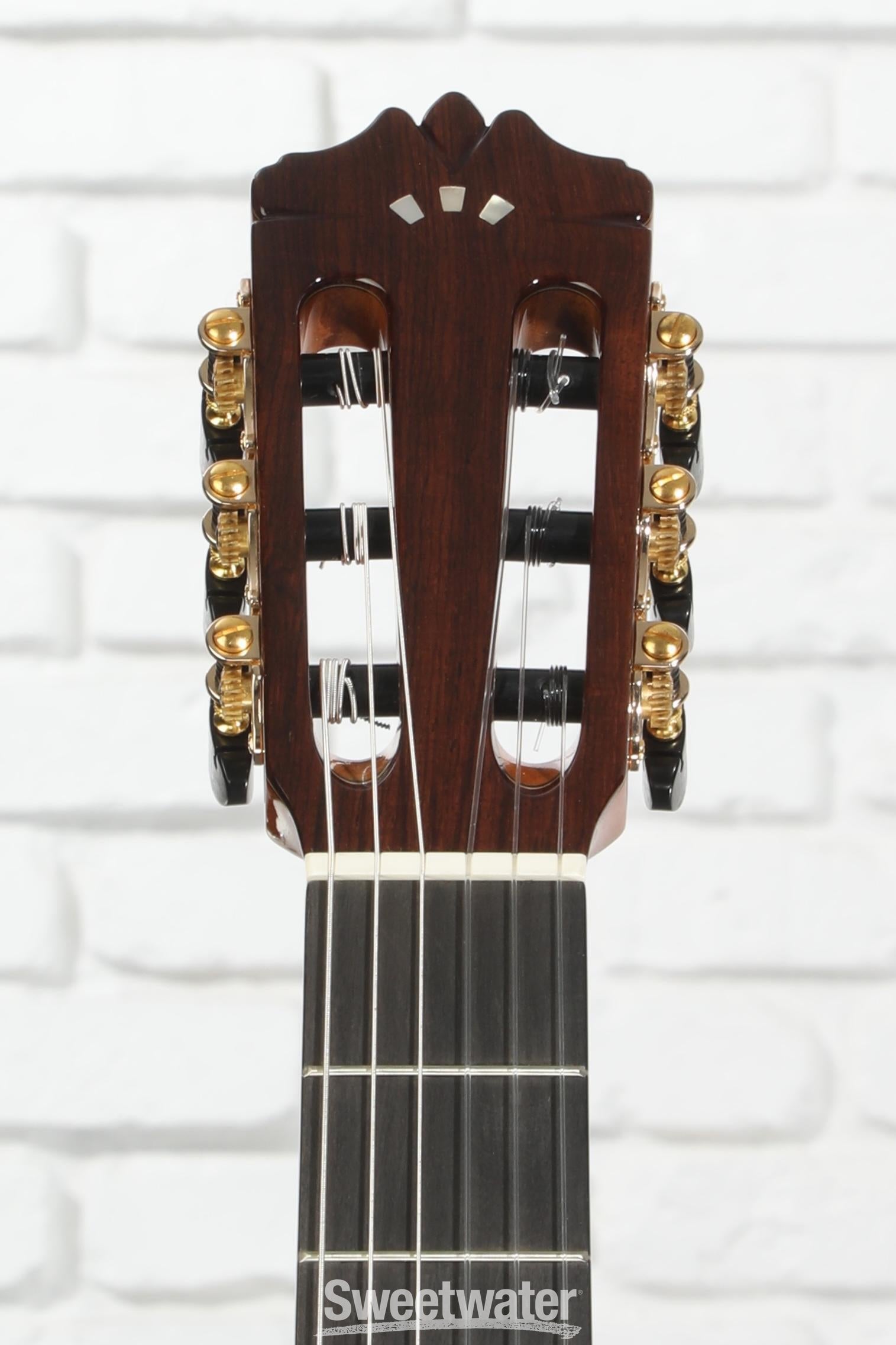 Cordoba GK Pro Negra Nylon String Acoustic-Electric Guitar