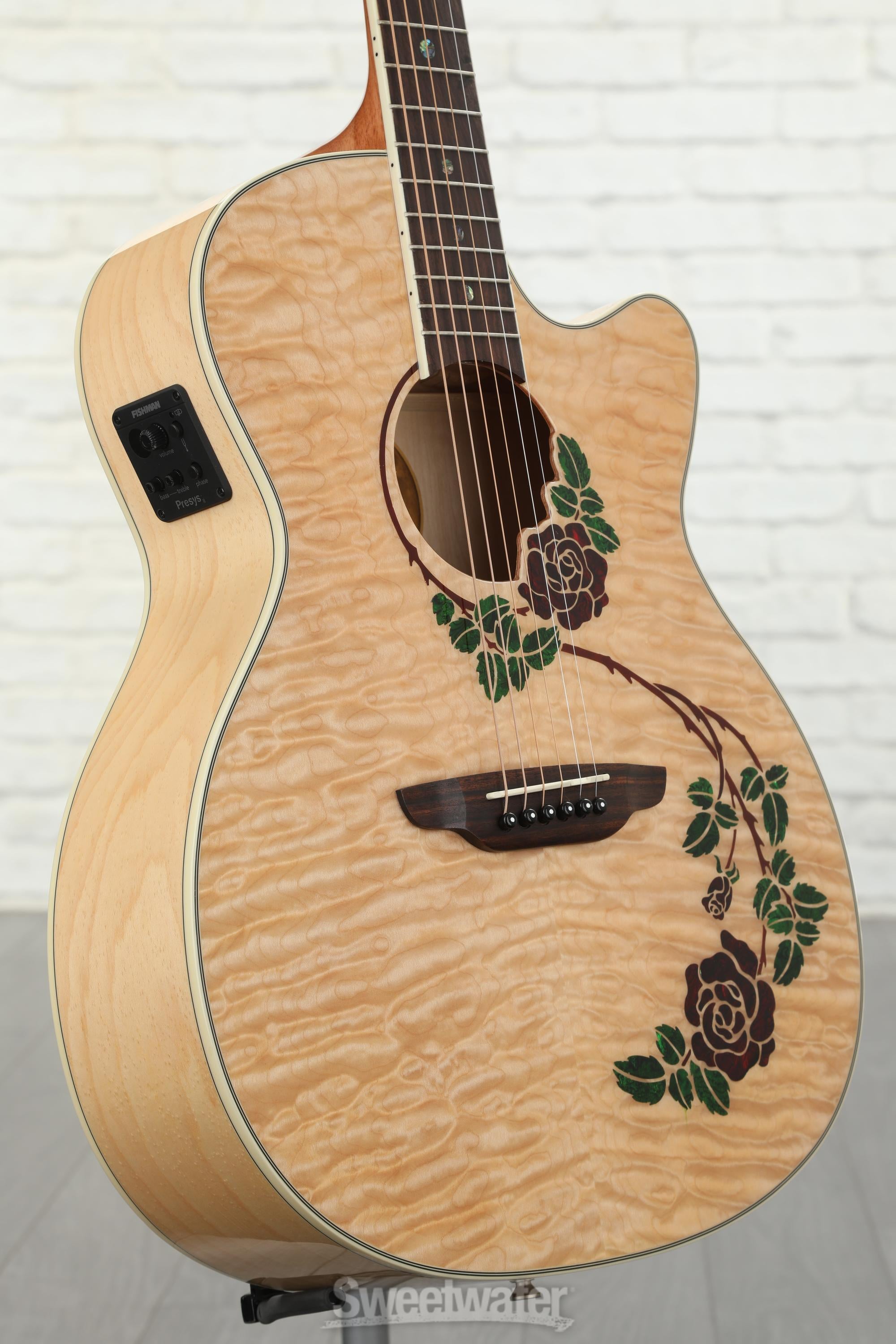 Fauna Butterfly Acoustic Electric Guitar - アコースティックギター