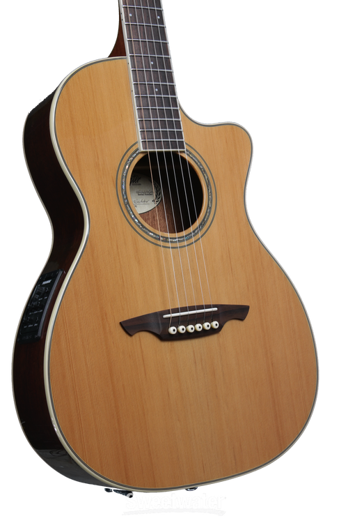 Wechter Guitars Nashville-tuned Special Elite Cutaway - Cedar C/A