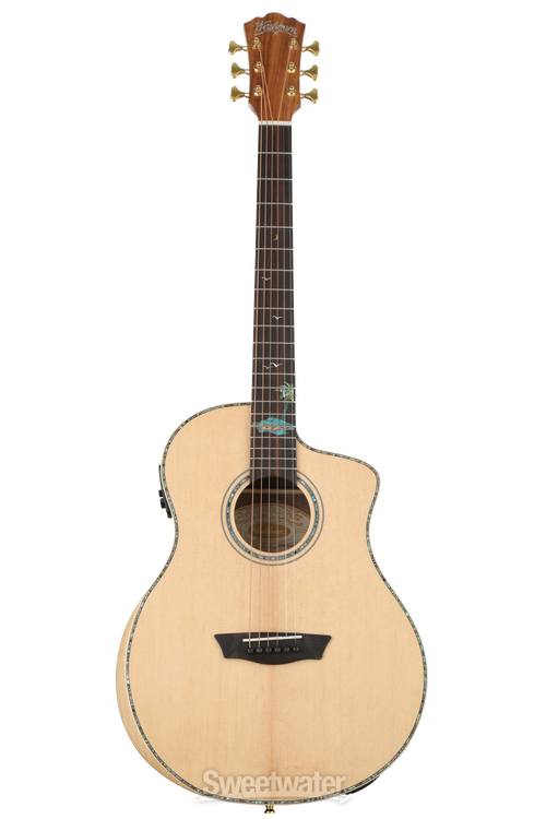 Washburn sc56s on sale