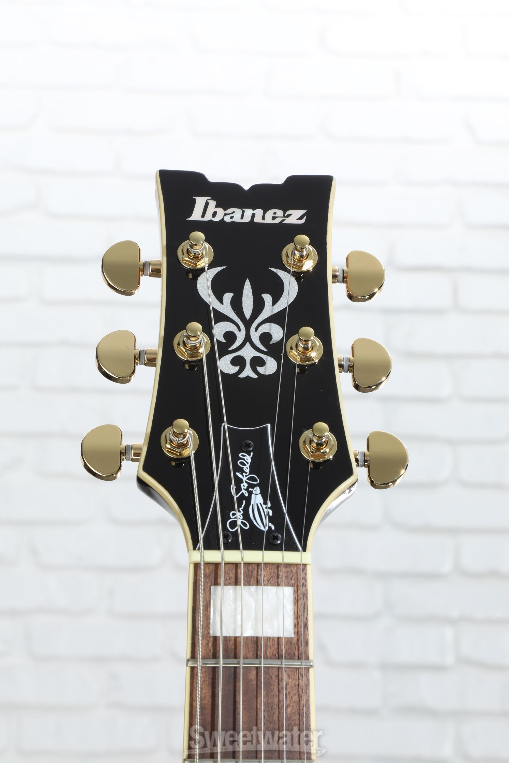 Ibanez JSM10EM John Scofield Signature Semi-hollowbody