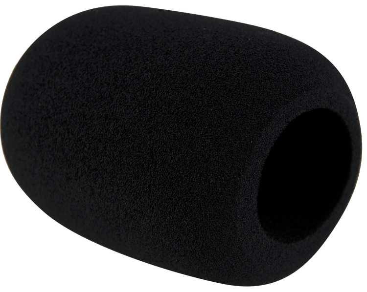 Electro-Voice WSPL-2 Foam Windscreen for RE20 | Sweetwater