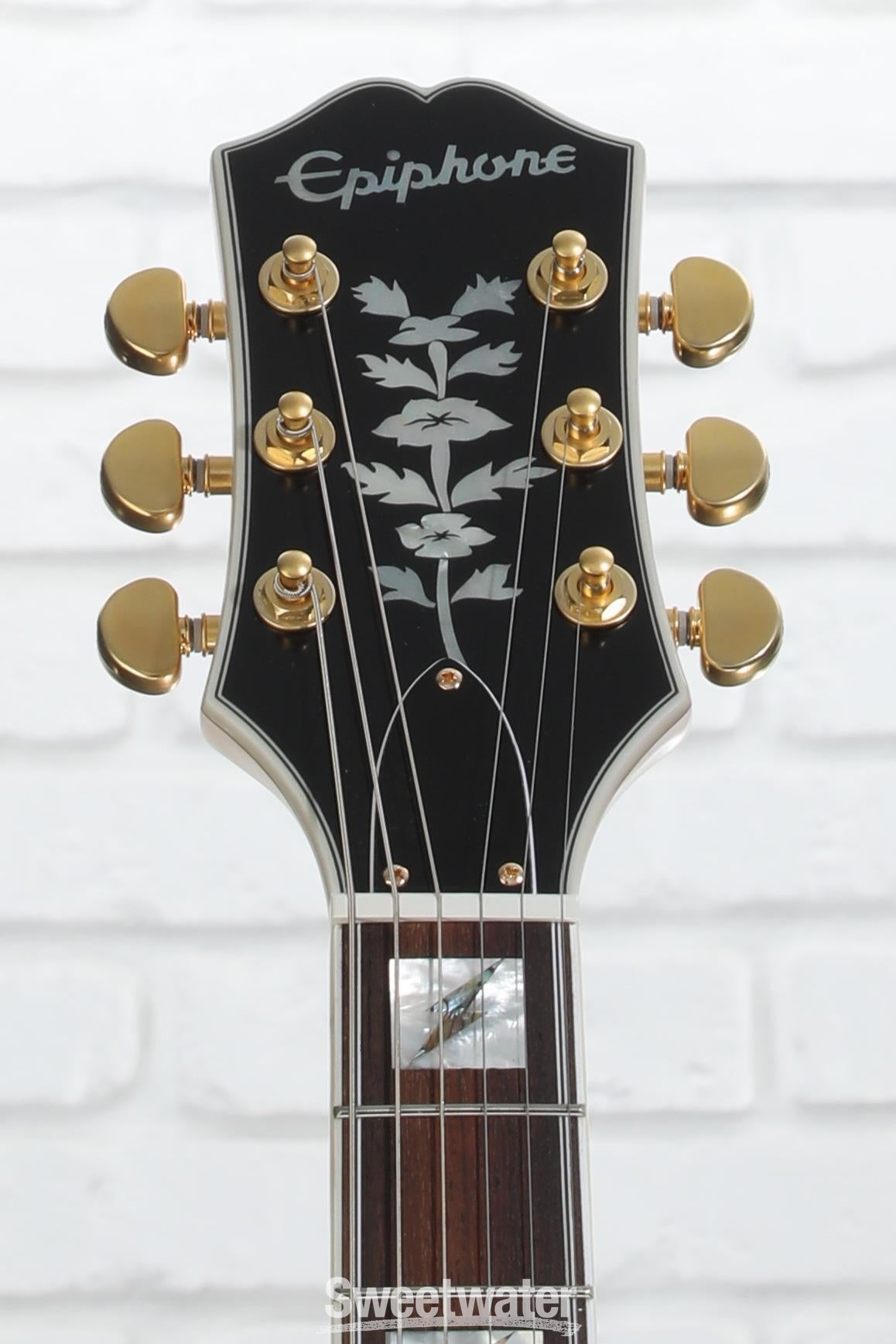 Epiphone Emily Wolfe Sheraton エミリー・ウォルフ Epiphone エピフォン Emily Wolfe Sheraton Stealth エミリー