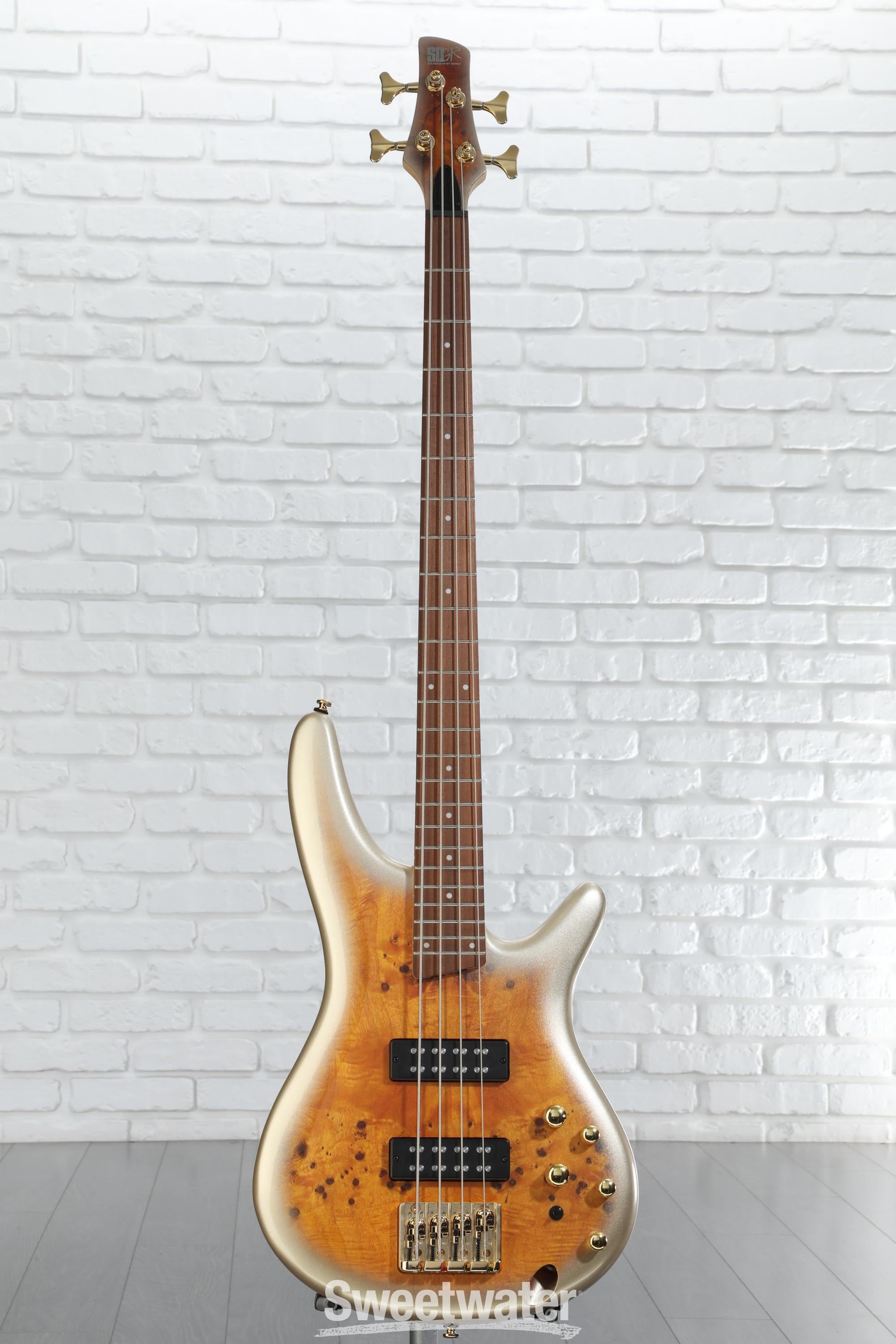 【残りわずか】 Ibanez SR Gold Mars - Bass Electric 4-string Standard ベース