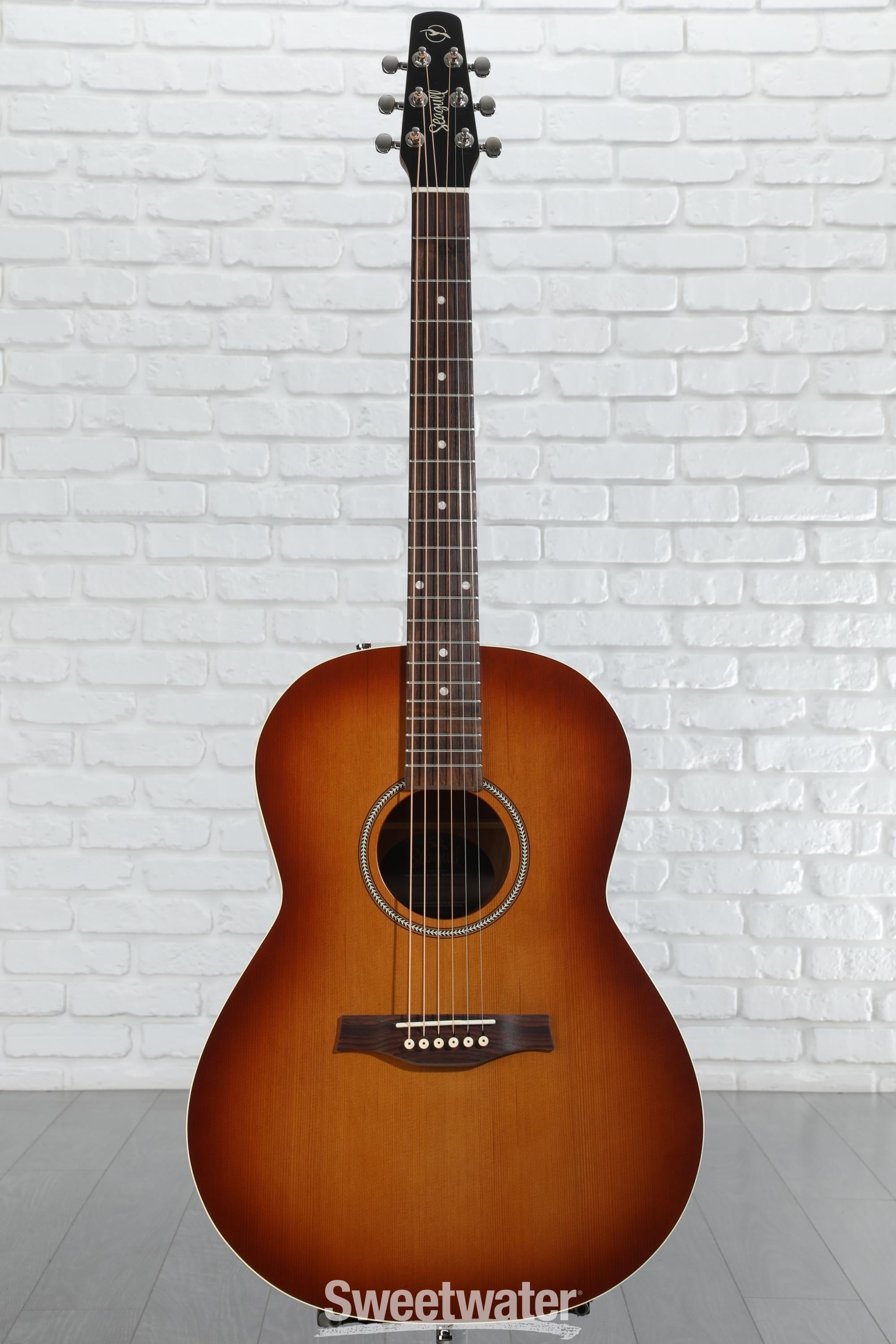 エレアコ化 Seagull Entourage Rustic Fishman ギター