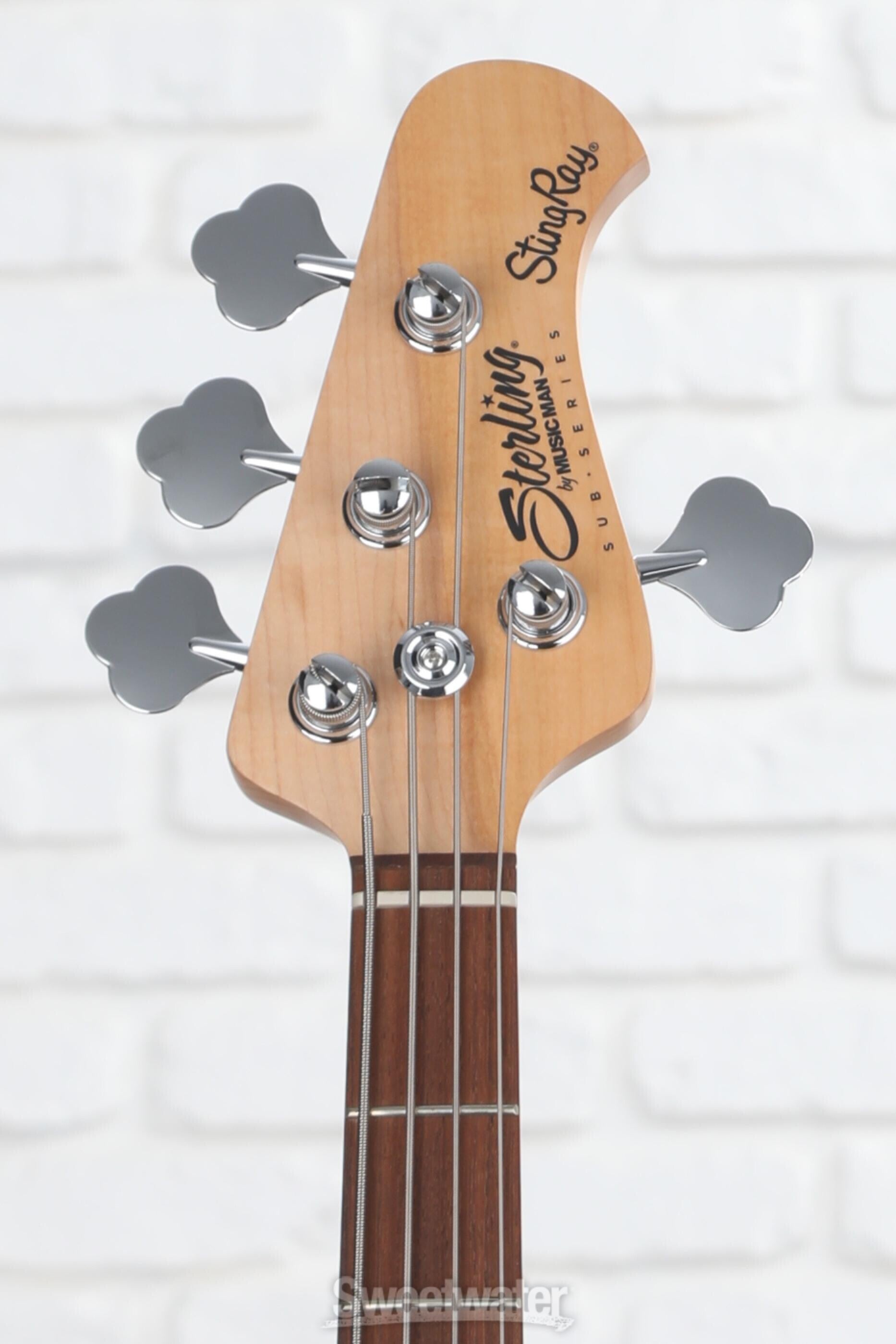 Sterling By Music Man StingRay RAY4 Bass Guitar - Walnut Satin | Sweetwater