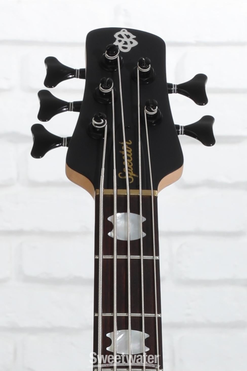 Spector Euro 5 LX Bolt-On Electric Bass Guitar - Haunted Moss