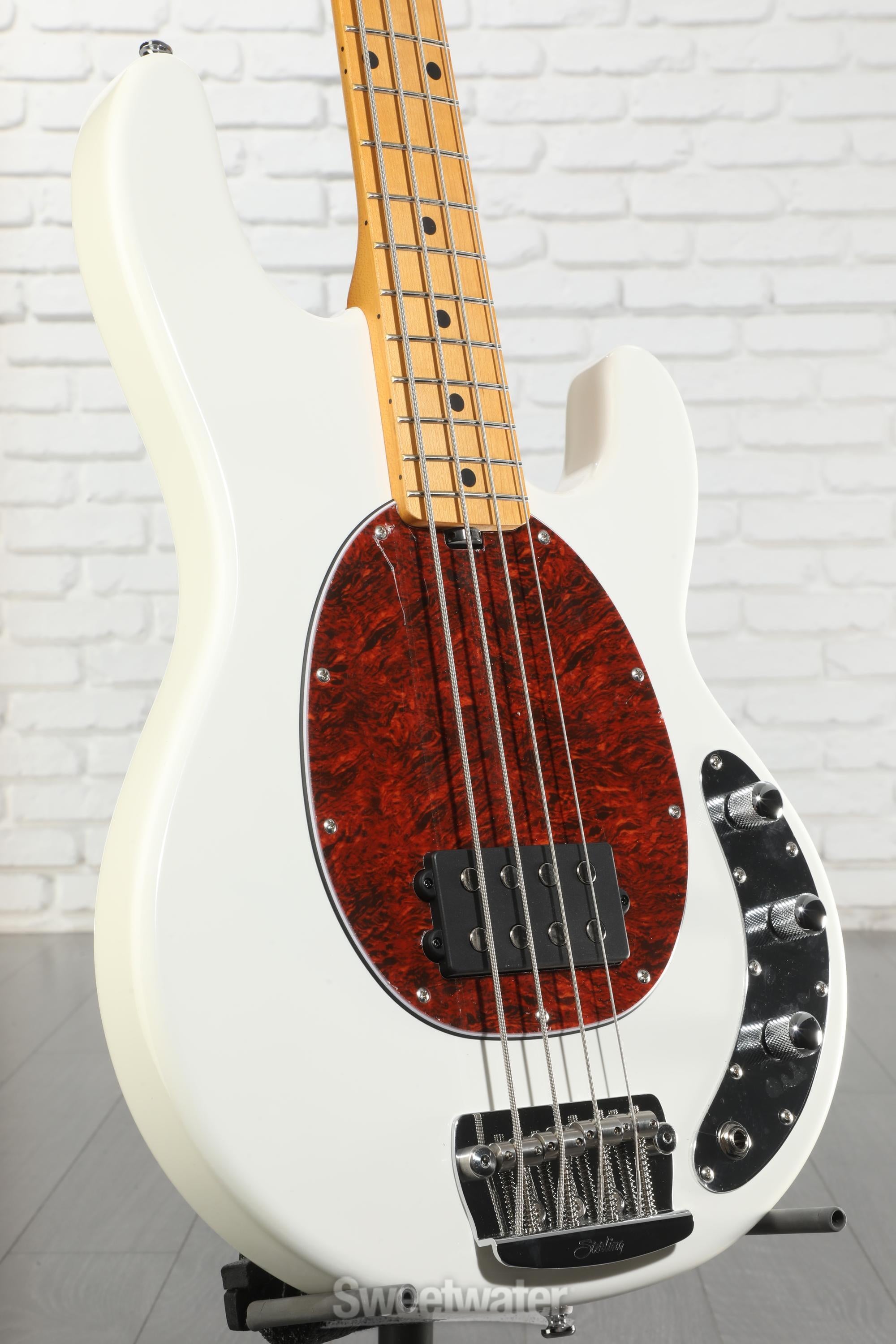美品Sterling by MUSICMAN Ray24CA Stingray Classic RAY24CA | Basses | Sterling by Music Man
