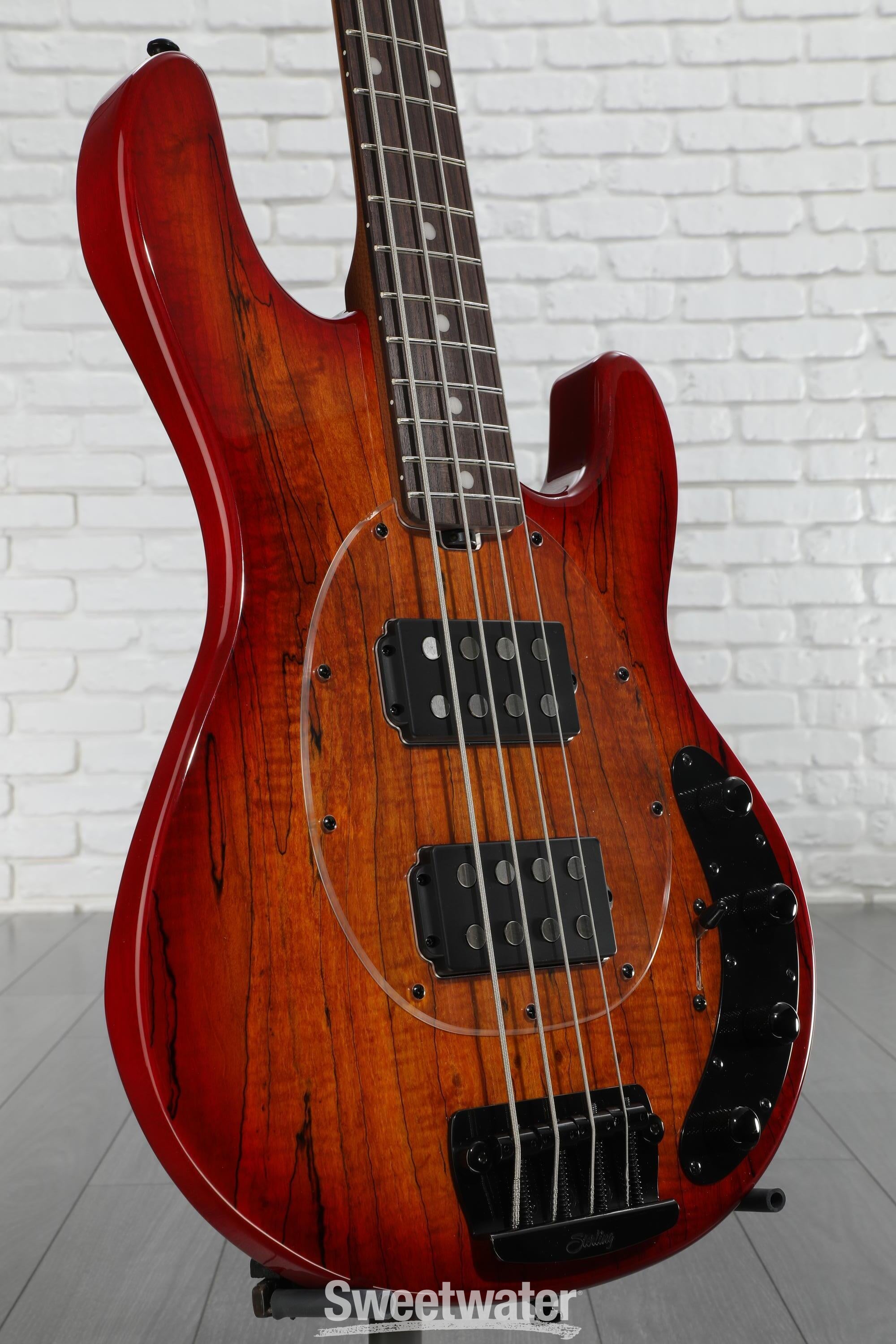 アイドル Man Blu-ray StingRay RAY34 HH Maple Top | Basses | Sterling by Music Man