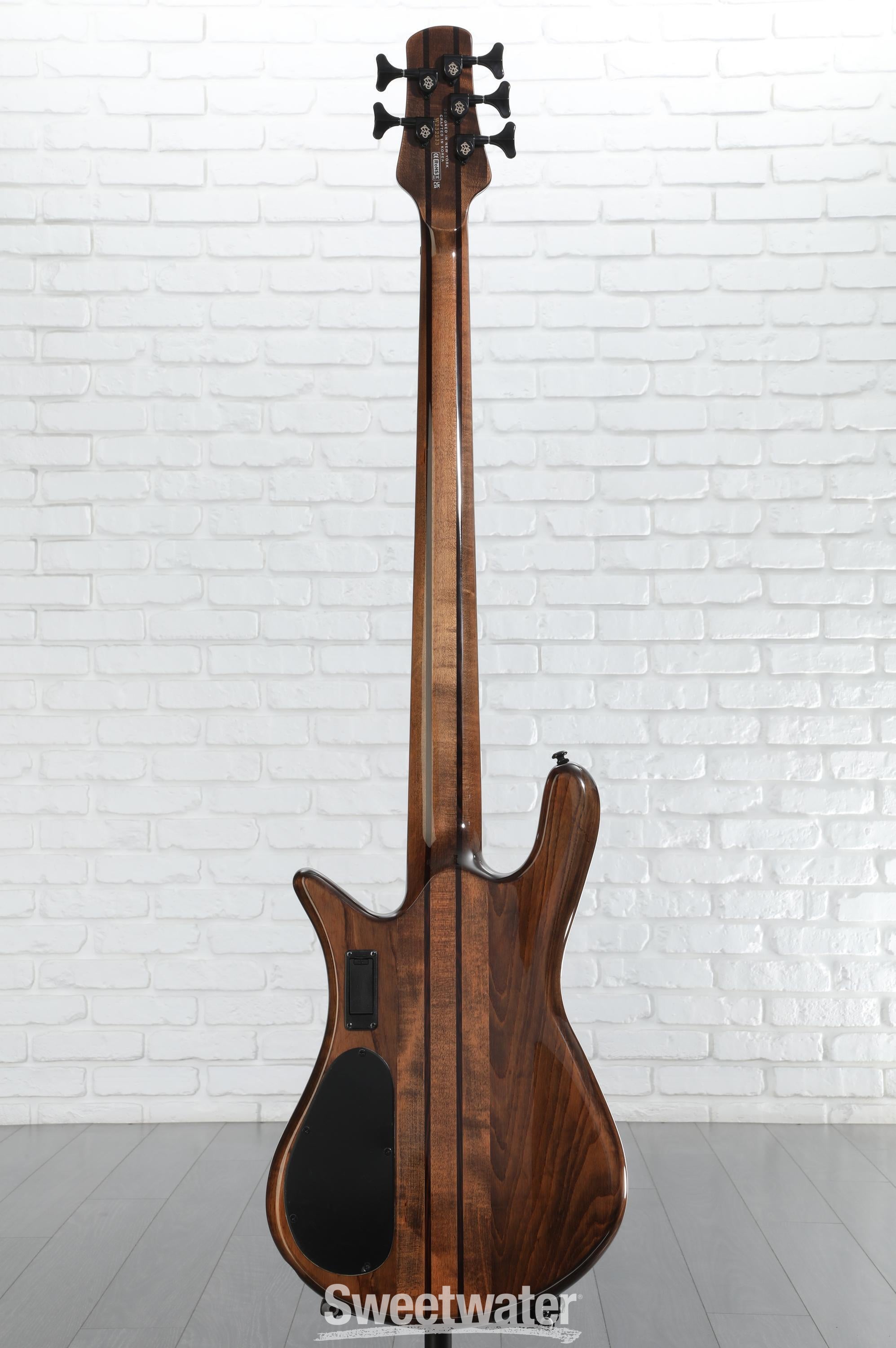 NS Dimension 5 - Spector Bass