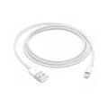 Photo of Apple Lightning to USB Cable - 1 meter