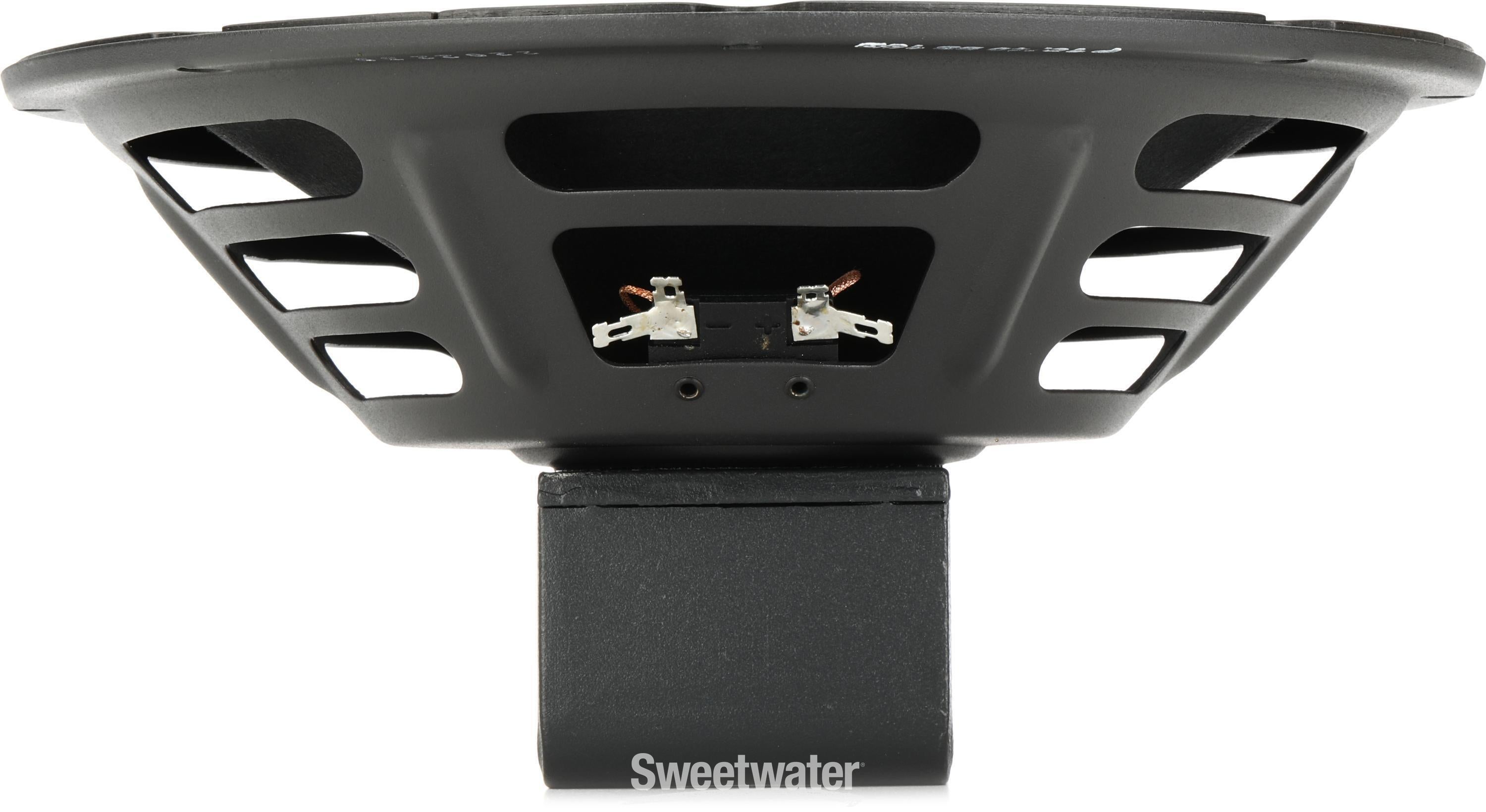 Jensen Blackbird 10-40 10-inch 40-watt Guitar Amp Speaker