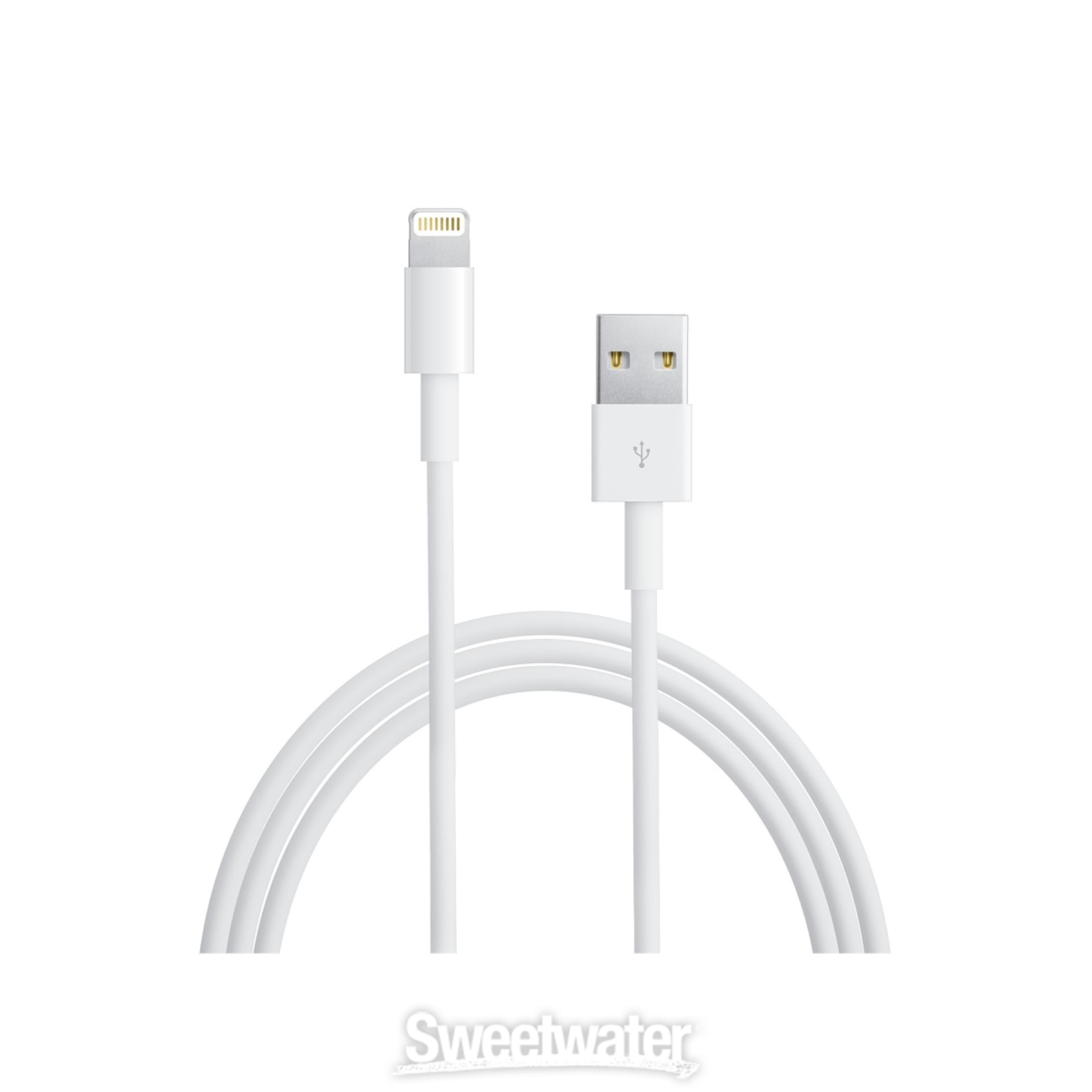 Apple iPad mini 3 Wi-Fi 64GB - Gold | Sweetwater
