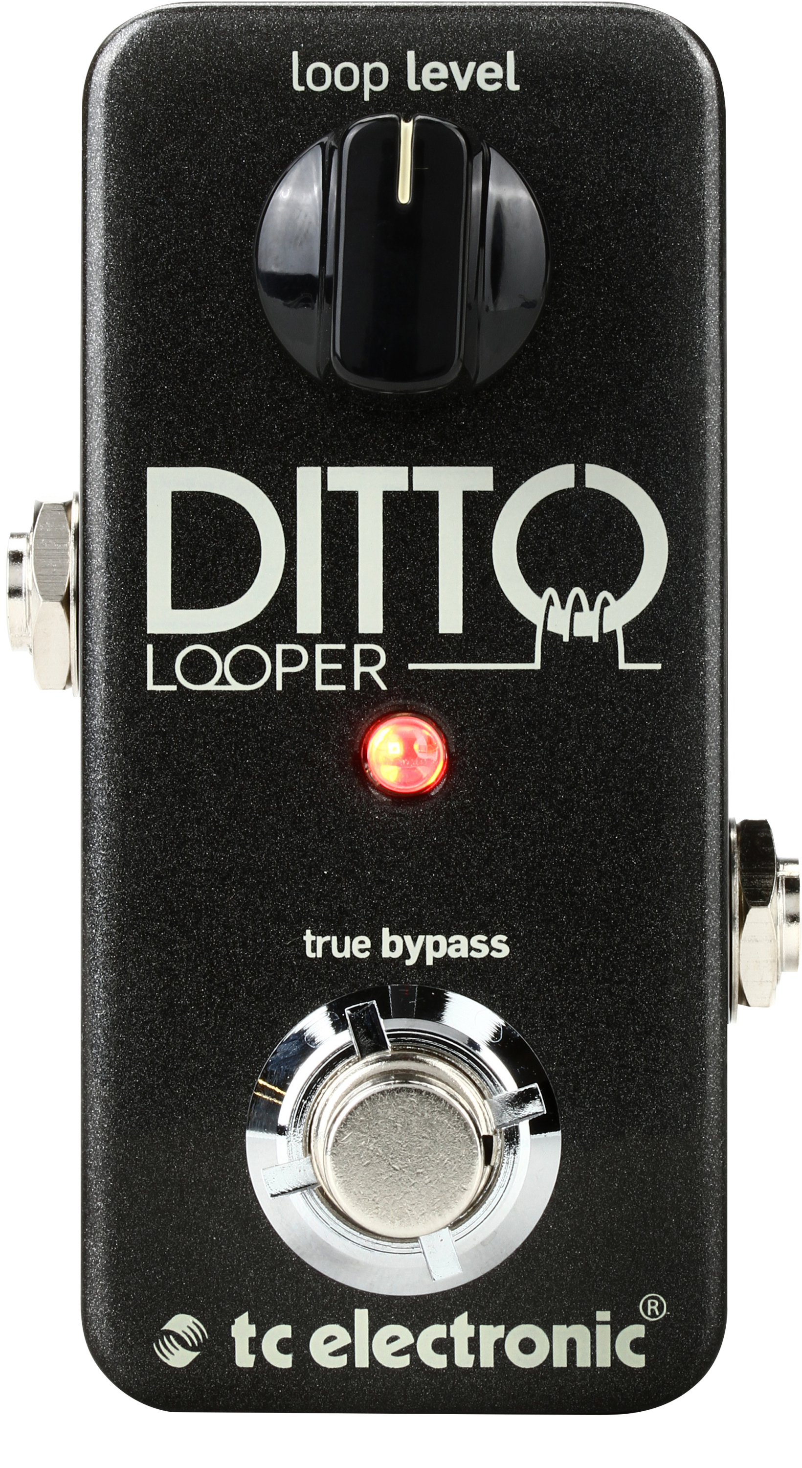 ギターDitto looper - TC Electronics - エフェクター