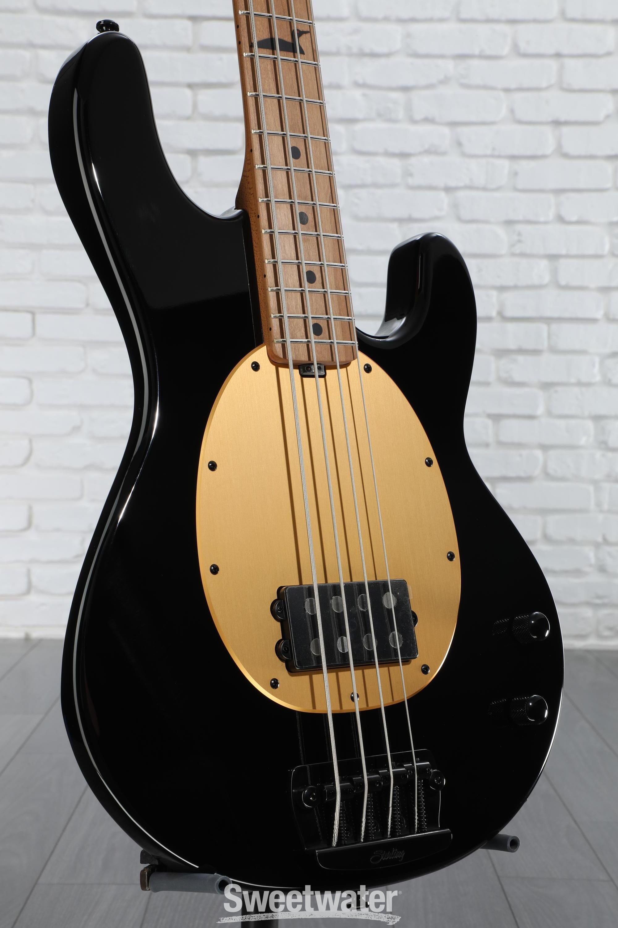 クーマンページ Sterling by Music Man StingRay Ray4HH Maple Fingerboard