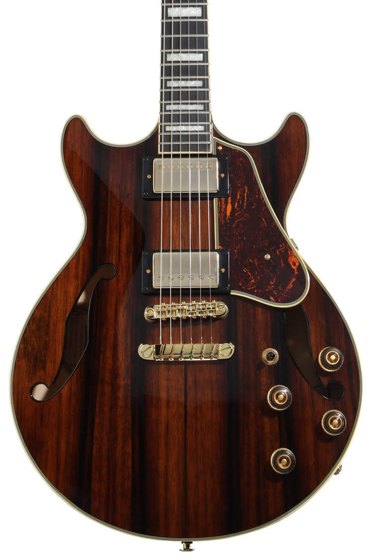 Ibanez Artcore Expressionist AM93ME Semi-Hollow Electric Guitar