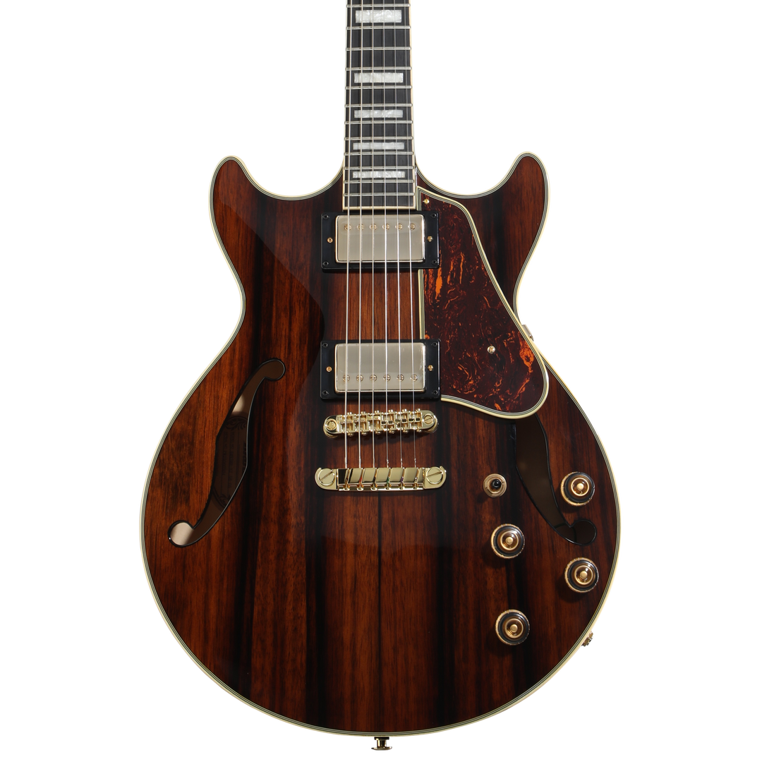 Ibanez Artcore Expressionist AM93ME Semi-Hollow Electric Guitar Ibanez Artcore Expressionist AM93ME Semi-Hollow Electric Guitar
