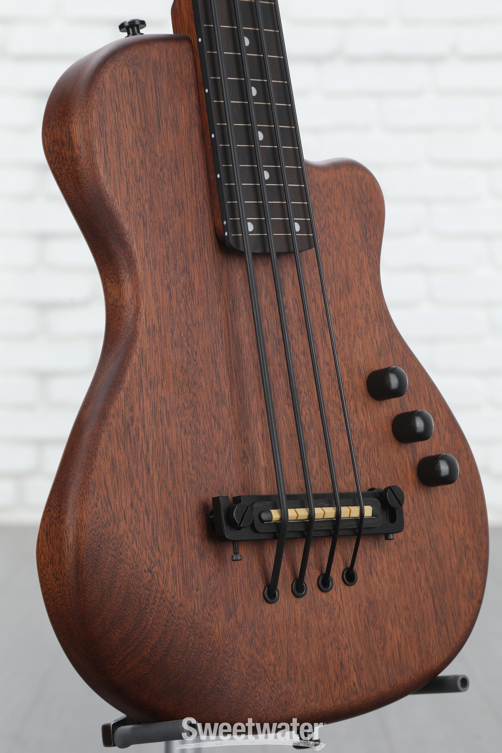 Gold Tone ME-BassFL 23-inch Scale Fretless Electric MicroBass - Natural