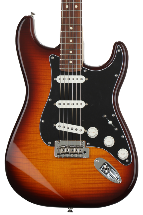 Fender shop stratocaster sweetwater