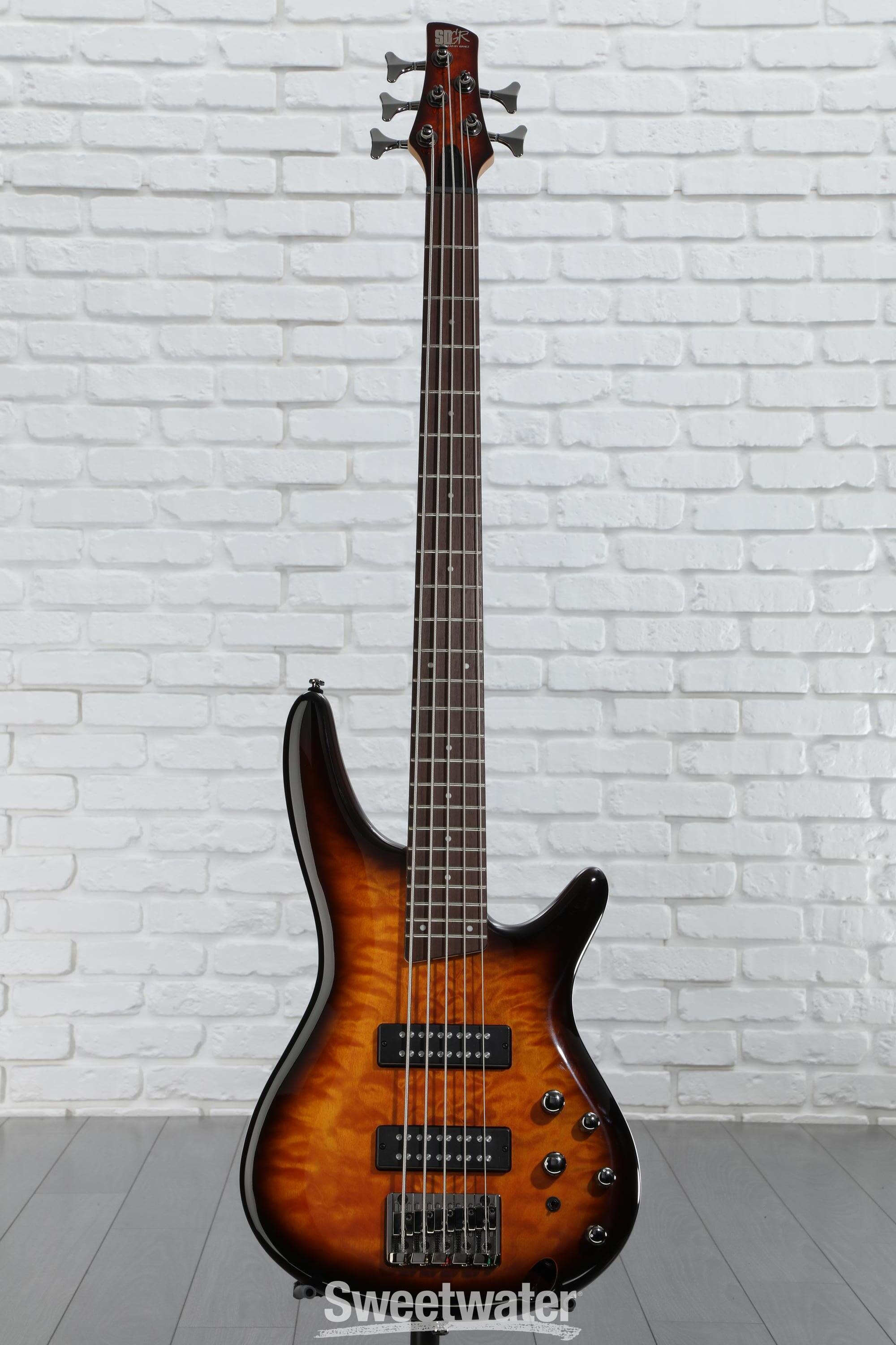 Ibanez Standard SR405E 5-string Bass Guitar - Dragon Eye
